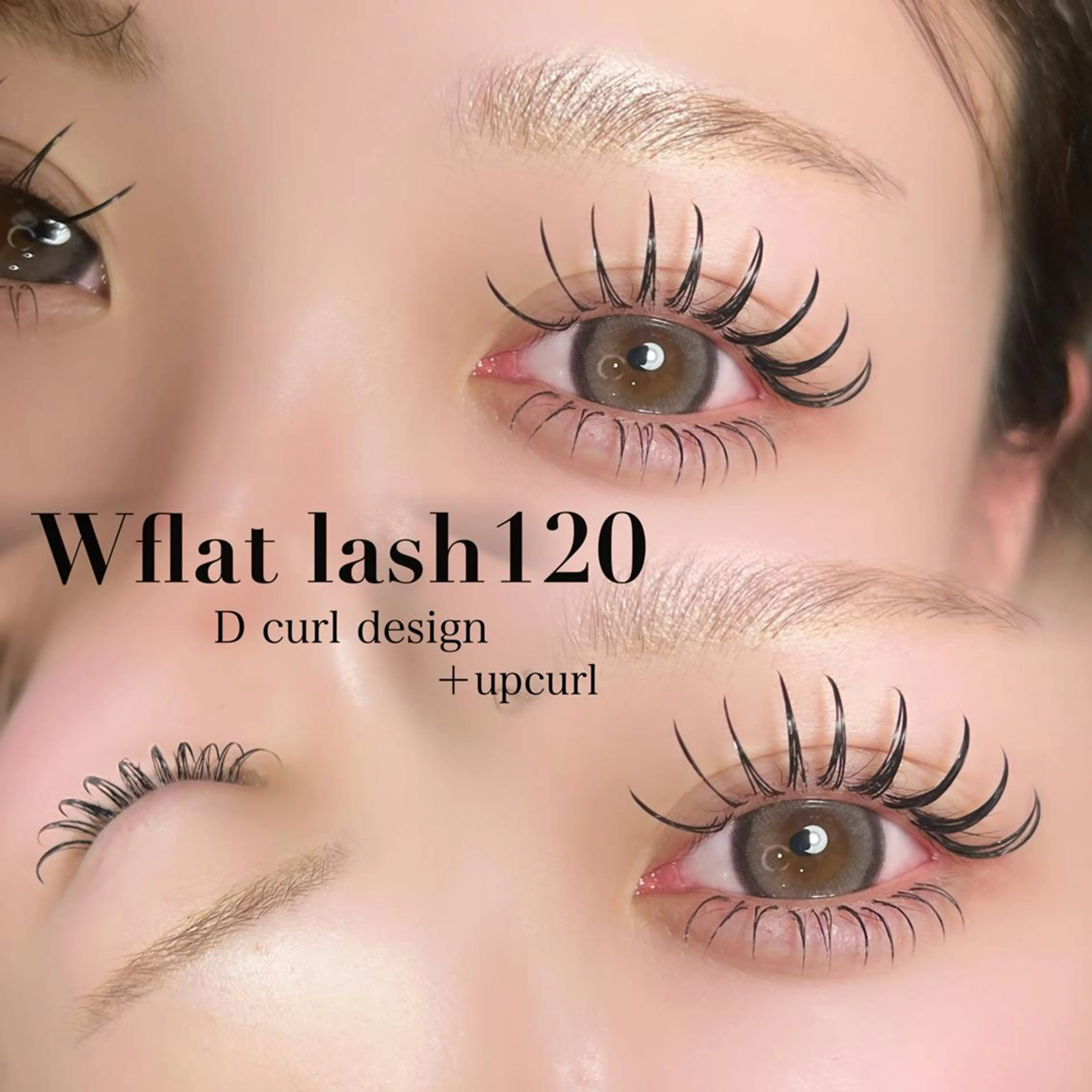 12月限定❕アップカール+Wフラットラッシュ120束🤎の写真
