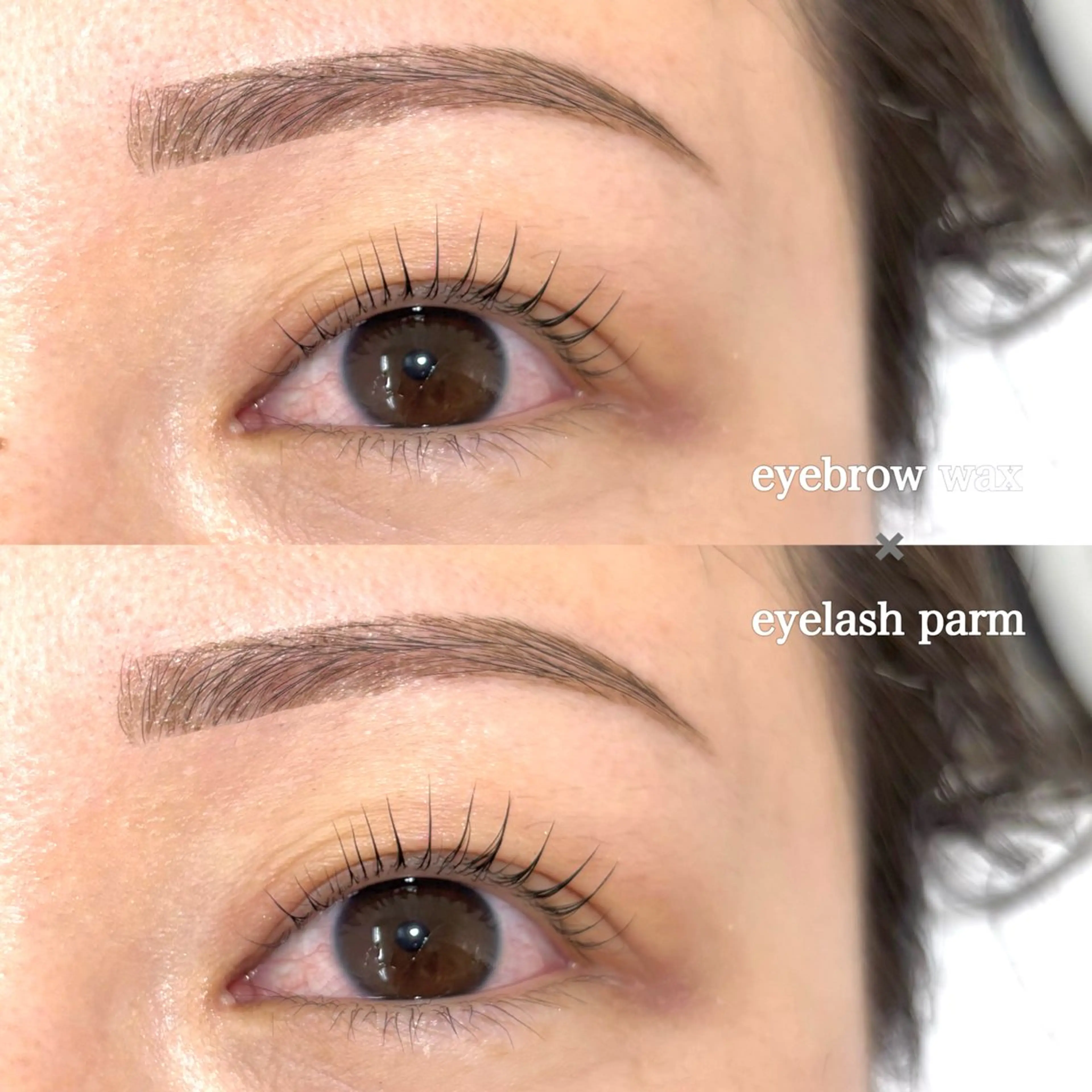 【まつ毛パーマ×眉毛Wax🪽】の写真