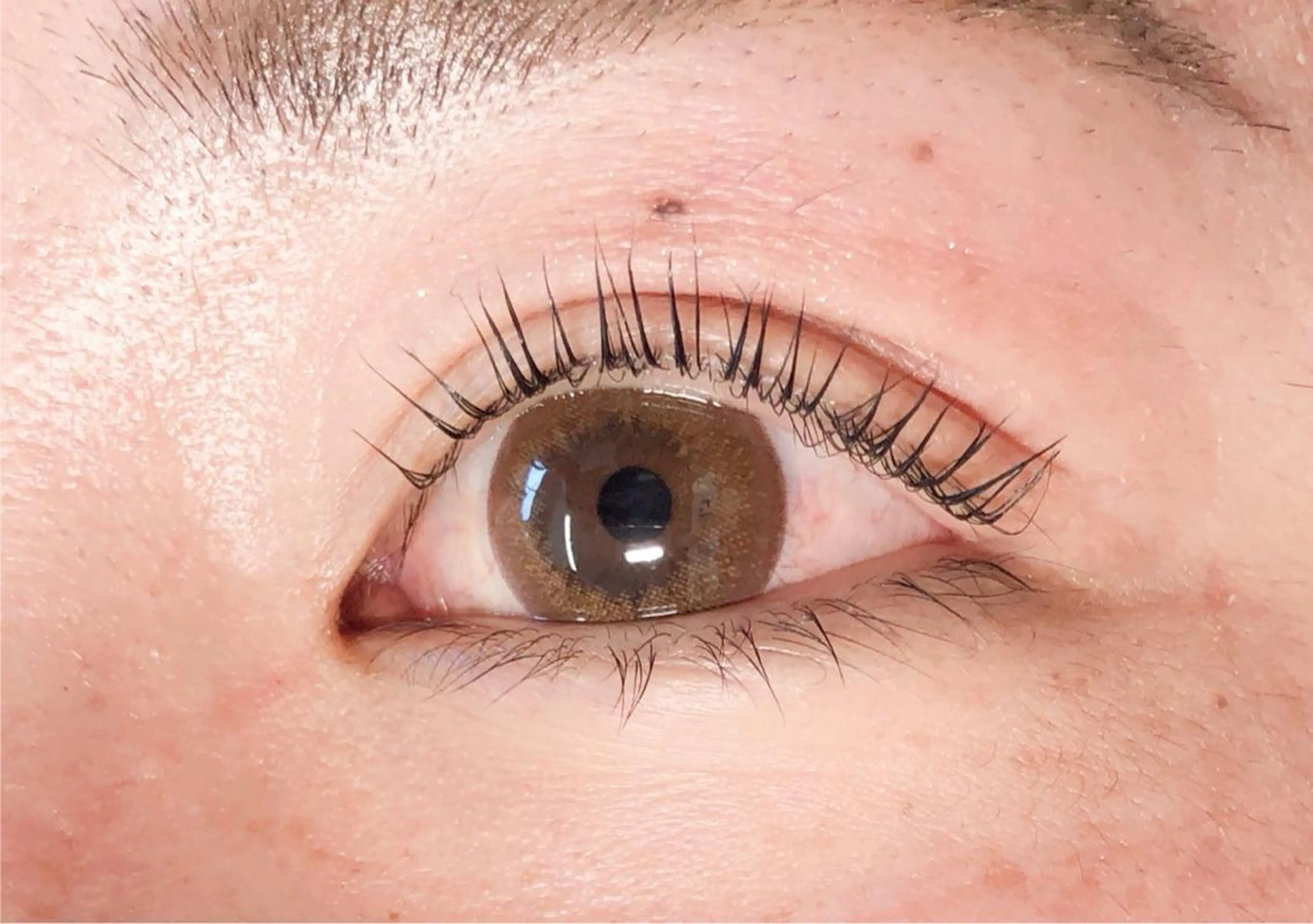 まつげパーマ♡ 自然なカールから根元立ち上げカールまで選べます。の写真