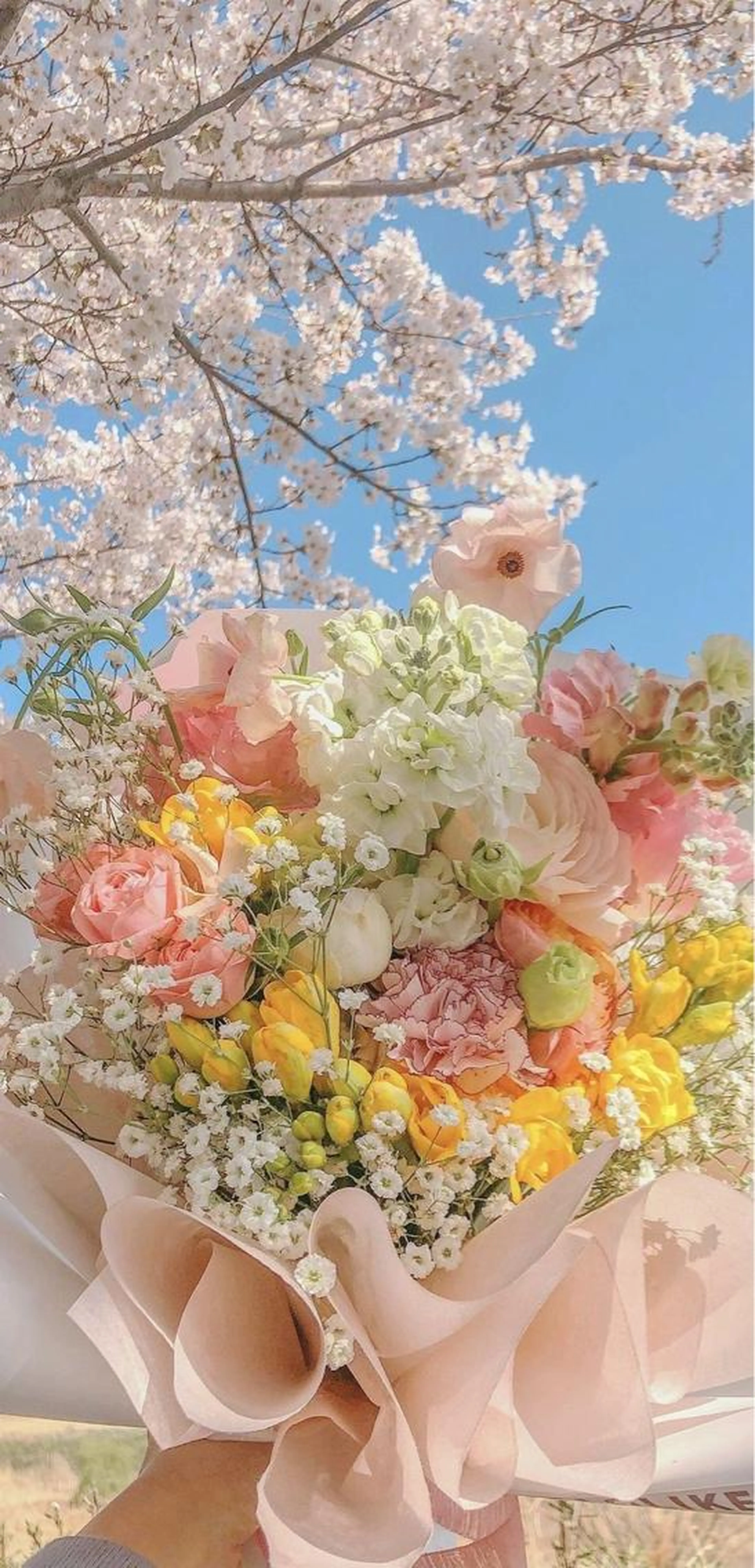 【鈴木指名割引💖❕】とにかく迷ったらこれ❕肌トラブル総合コース（ピーリング&パック）ヘッドマッサージ付🕯♡の写真