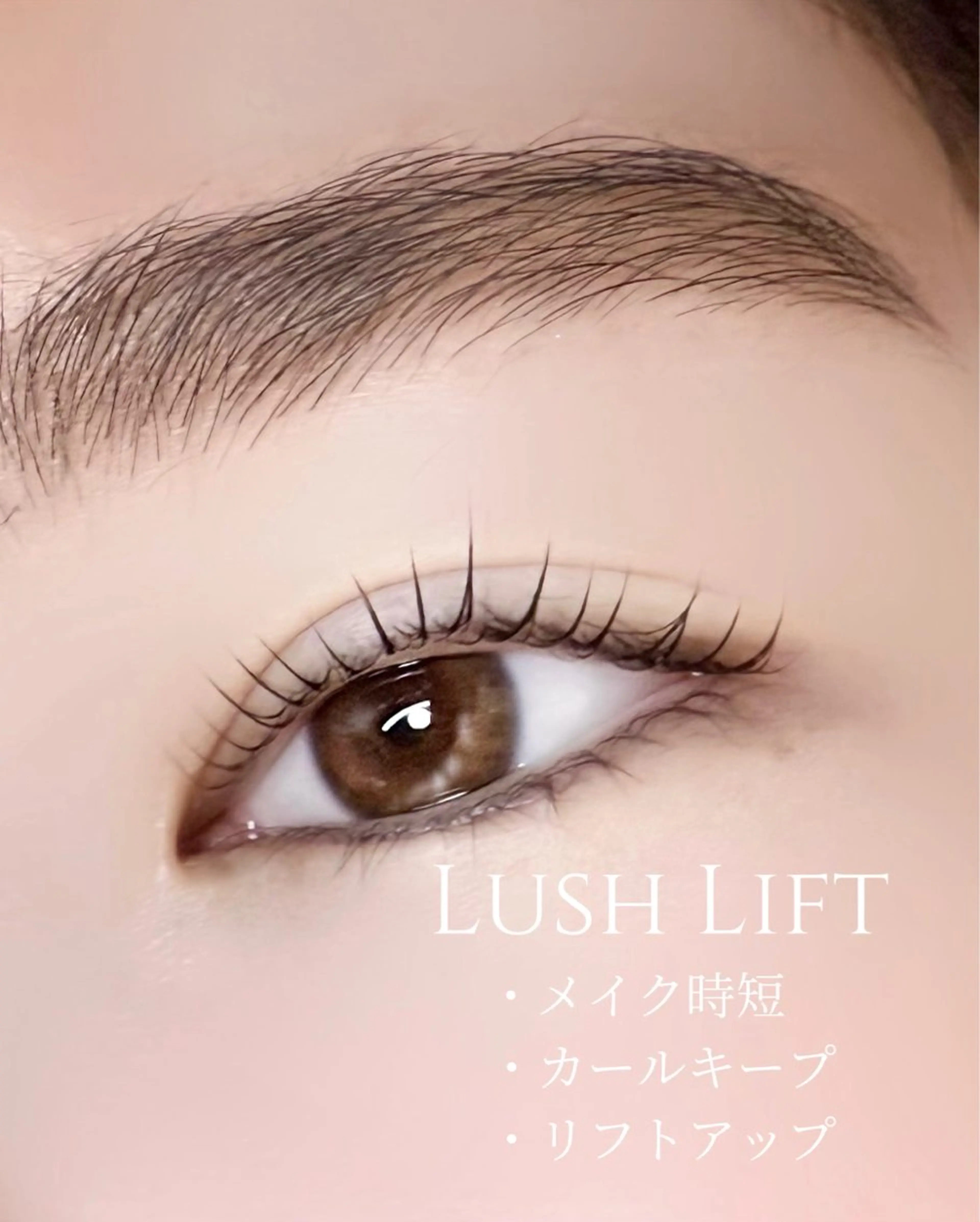 【10月限定】まつ毛パーマ🎀の写真
