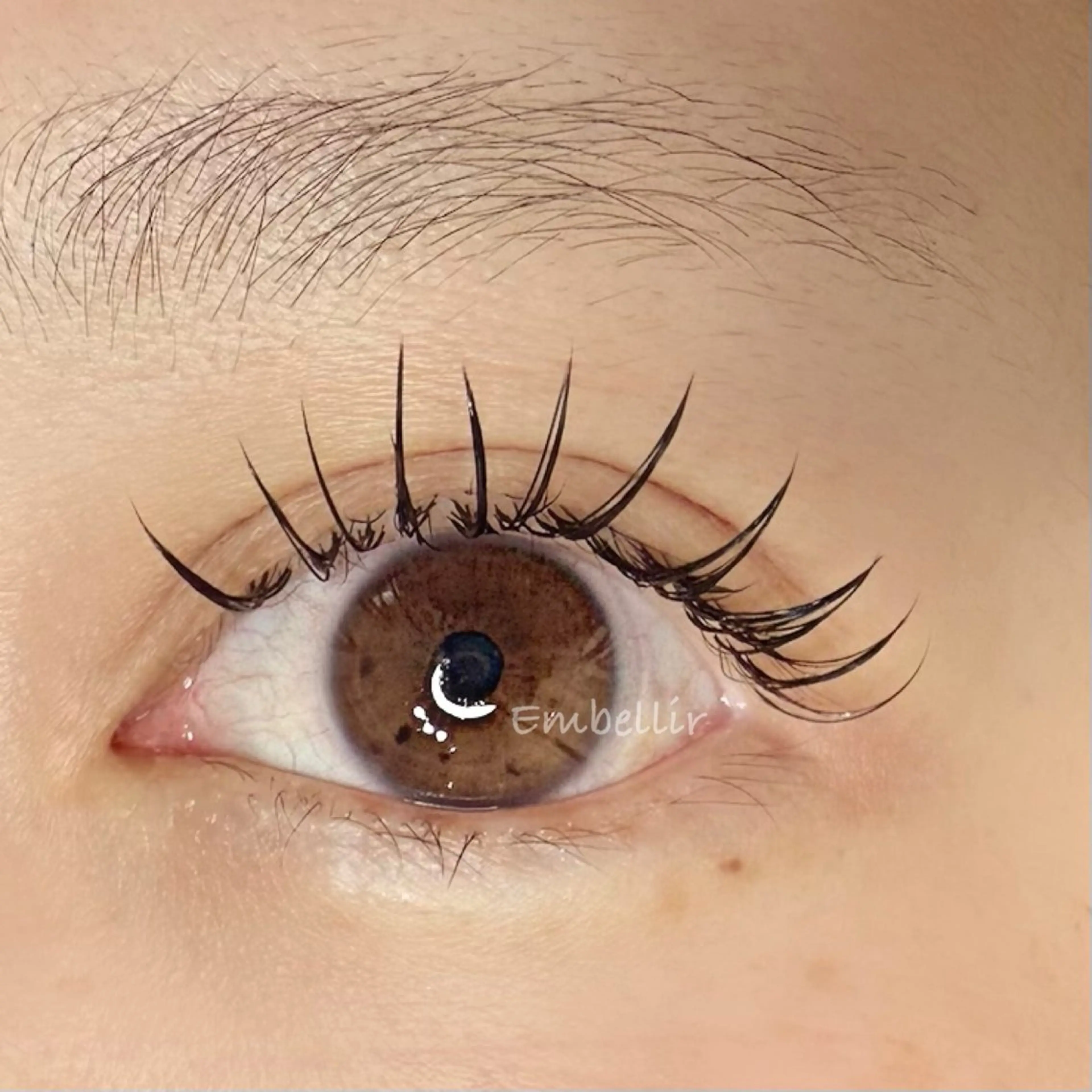 マツエク・マツパ 束感まつ毛 フラットラッシュ マツエク Embellir所属・Embellir Tamamiのマツエク・マツパデザイン