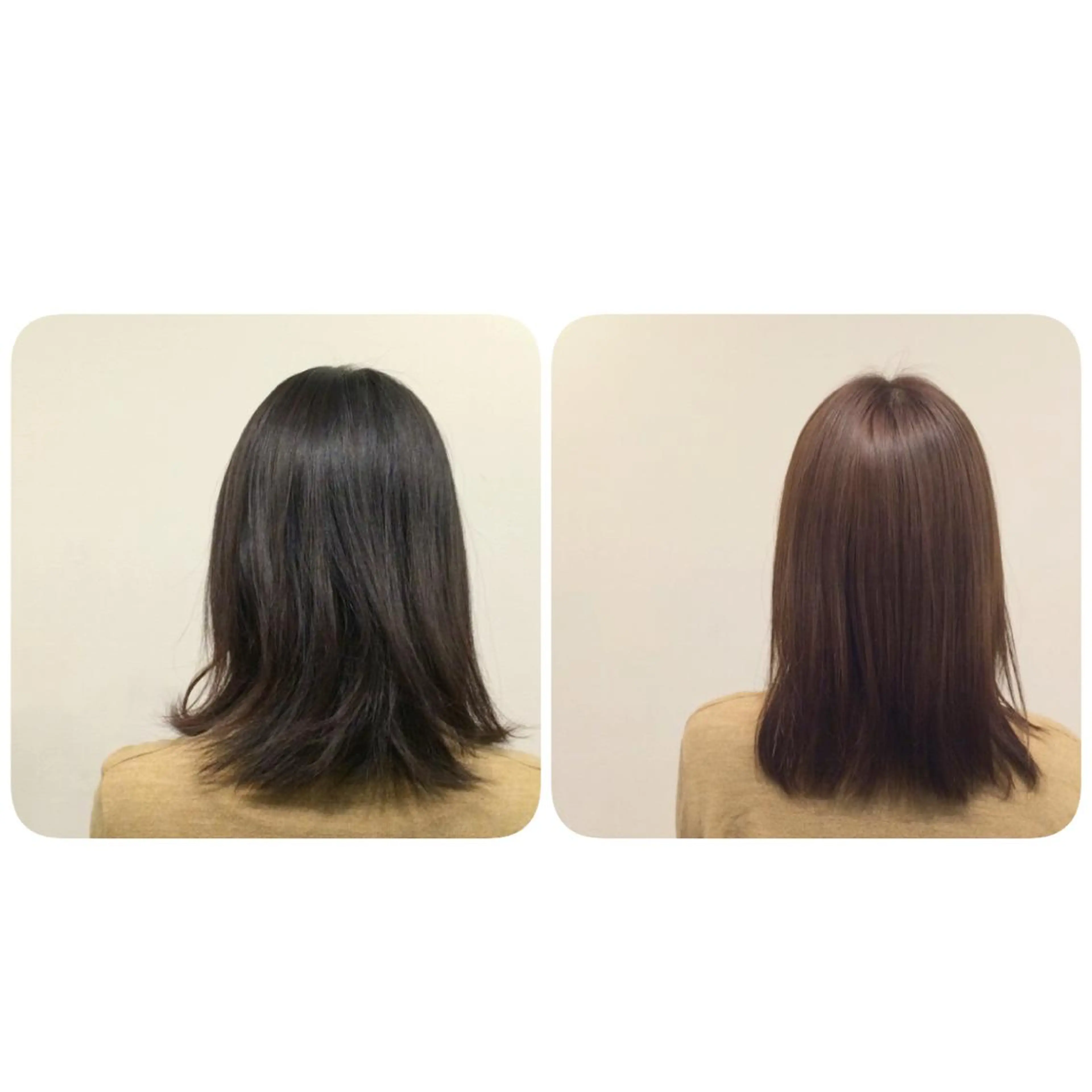 セミロング カラー ブラウンカラー ナチュラルブラウン 遠藤悠大/メンズ縮毛 /メンズカットのヘアスタイル