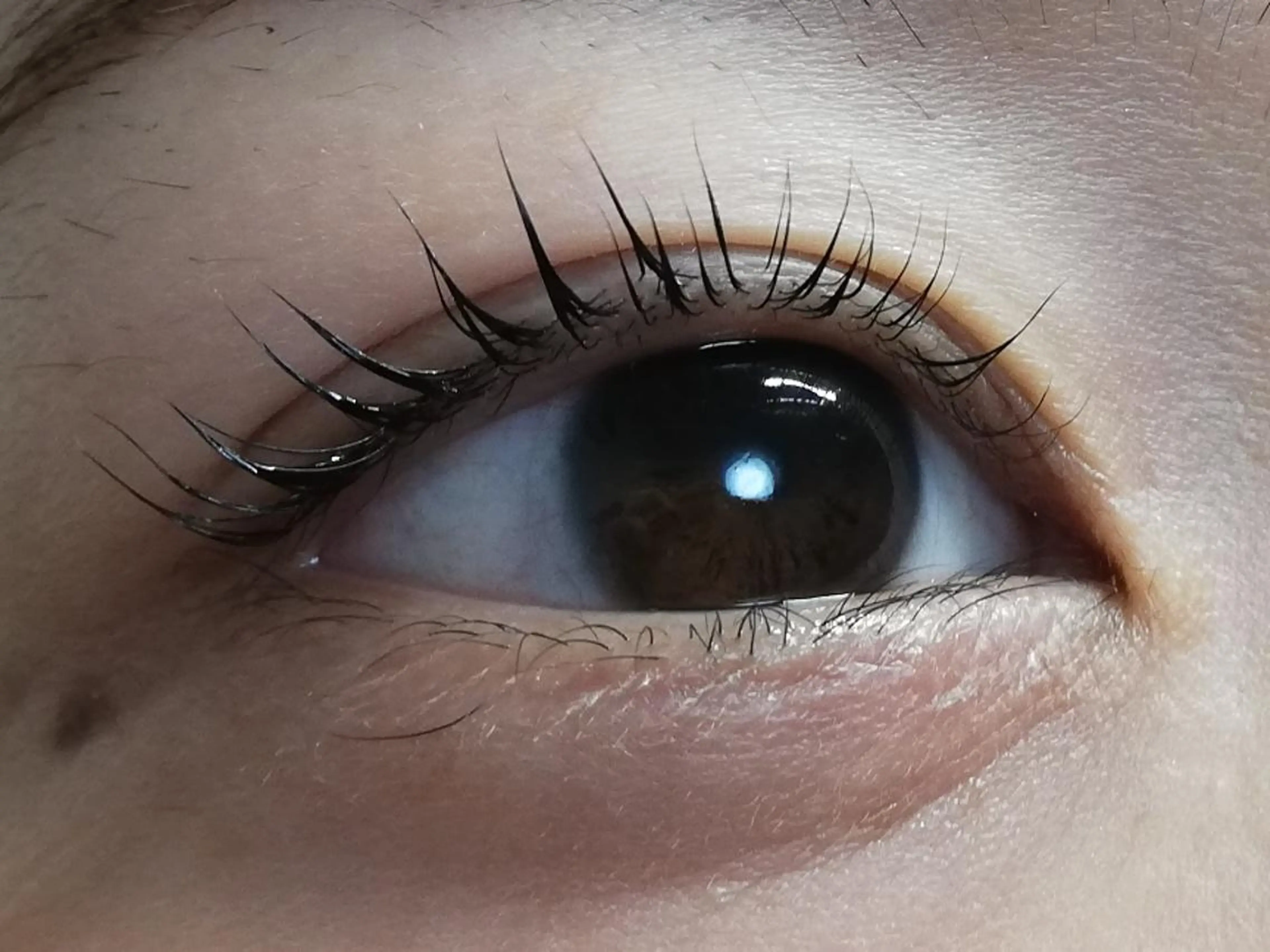 マツエク・マツパ angelux 所属・完全個室サロン🌹 angelux🌹のマツエク・マツパデザイン