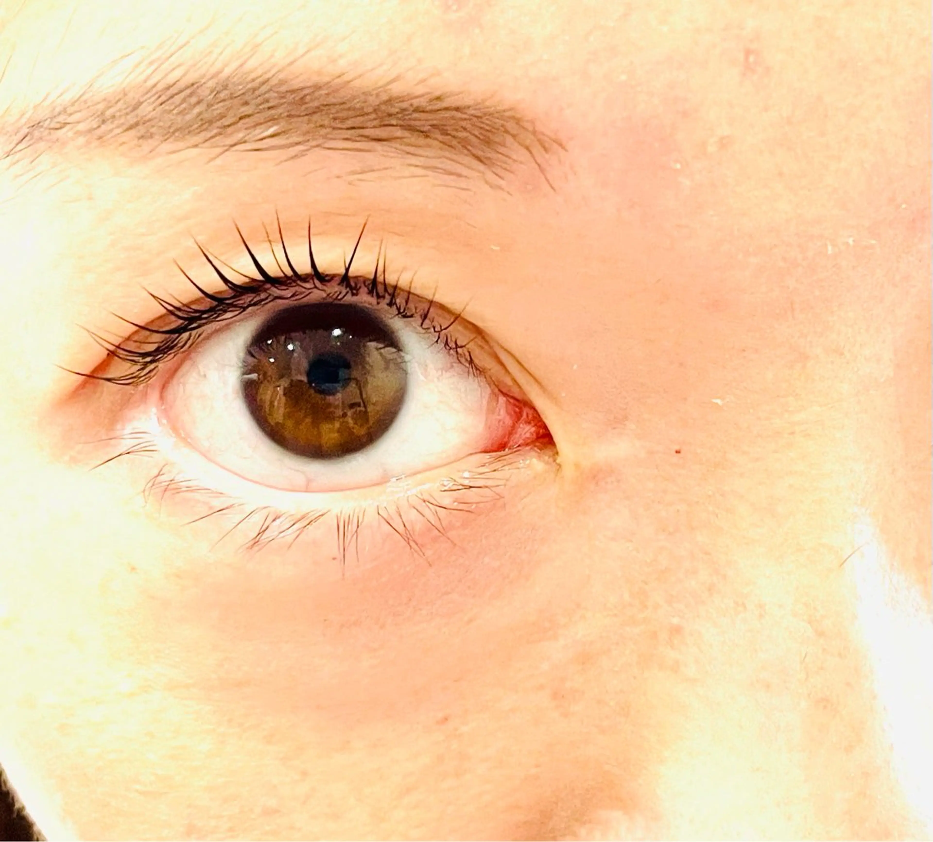 マツエク・マツパ パリジェンヌラッシュリフト Any eyelash＆hair所属・Any eyelashのマツエク・マツパデザイン
