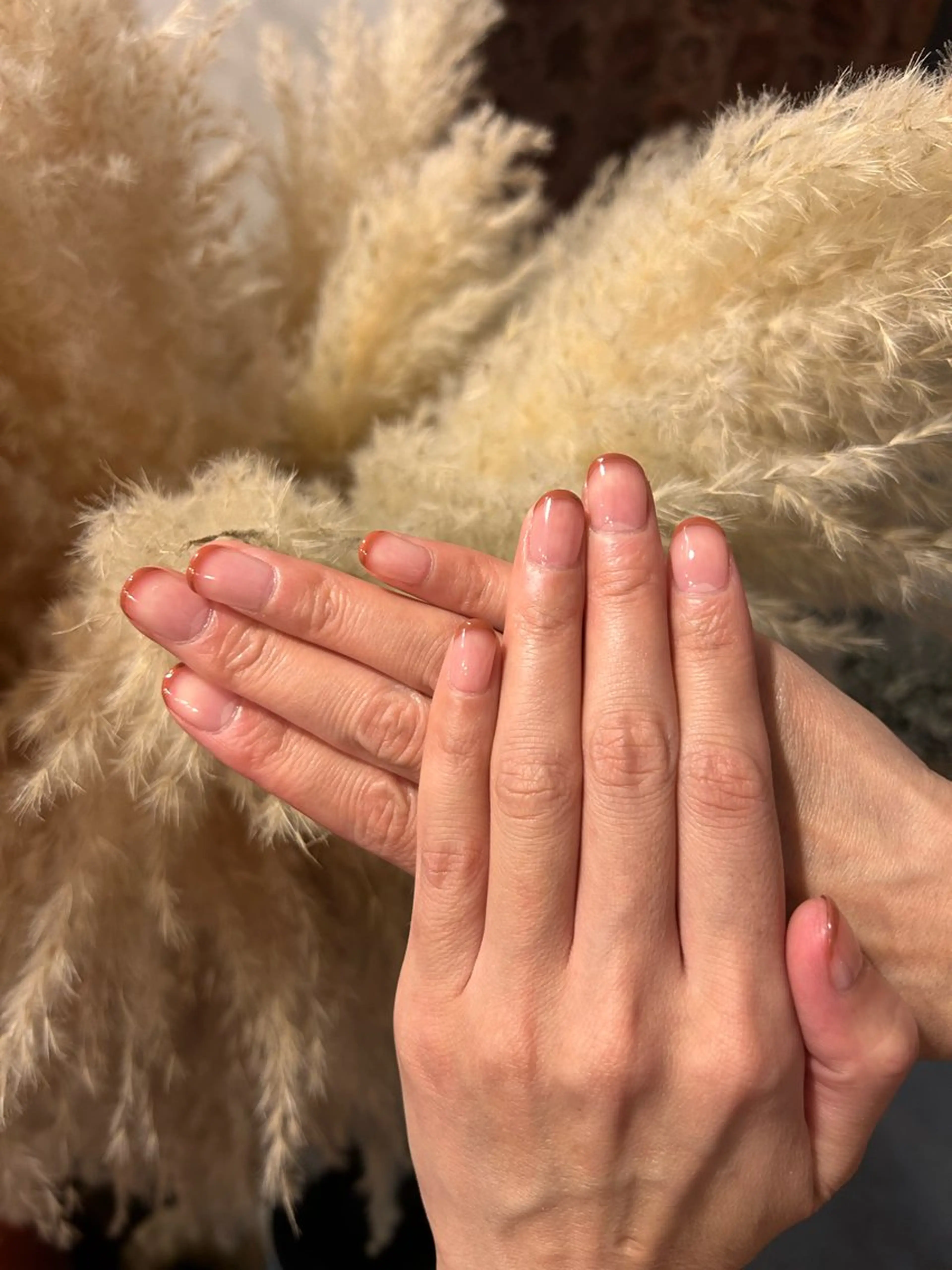 【オフなし】 ワンカラーor フレンチorグラデの写真