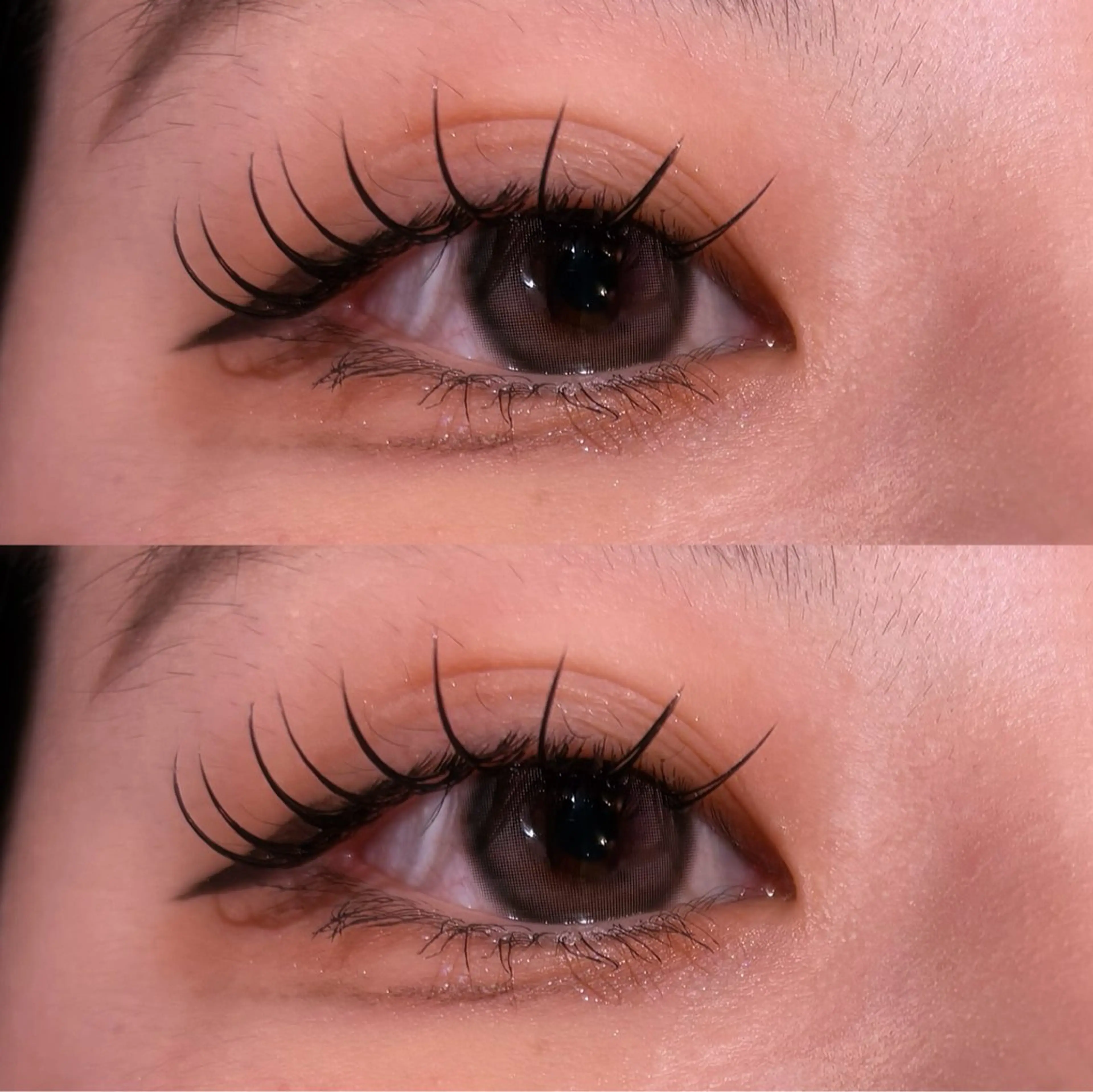 🩷極上セーブル100本🩷➕美容液コーティング🎀【オフ込】の写真