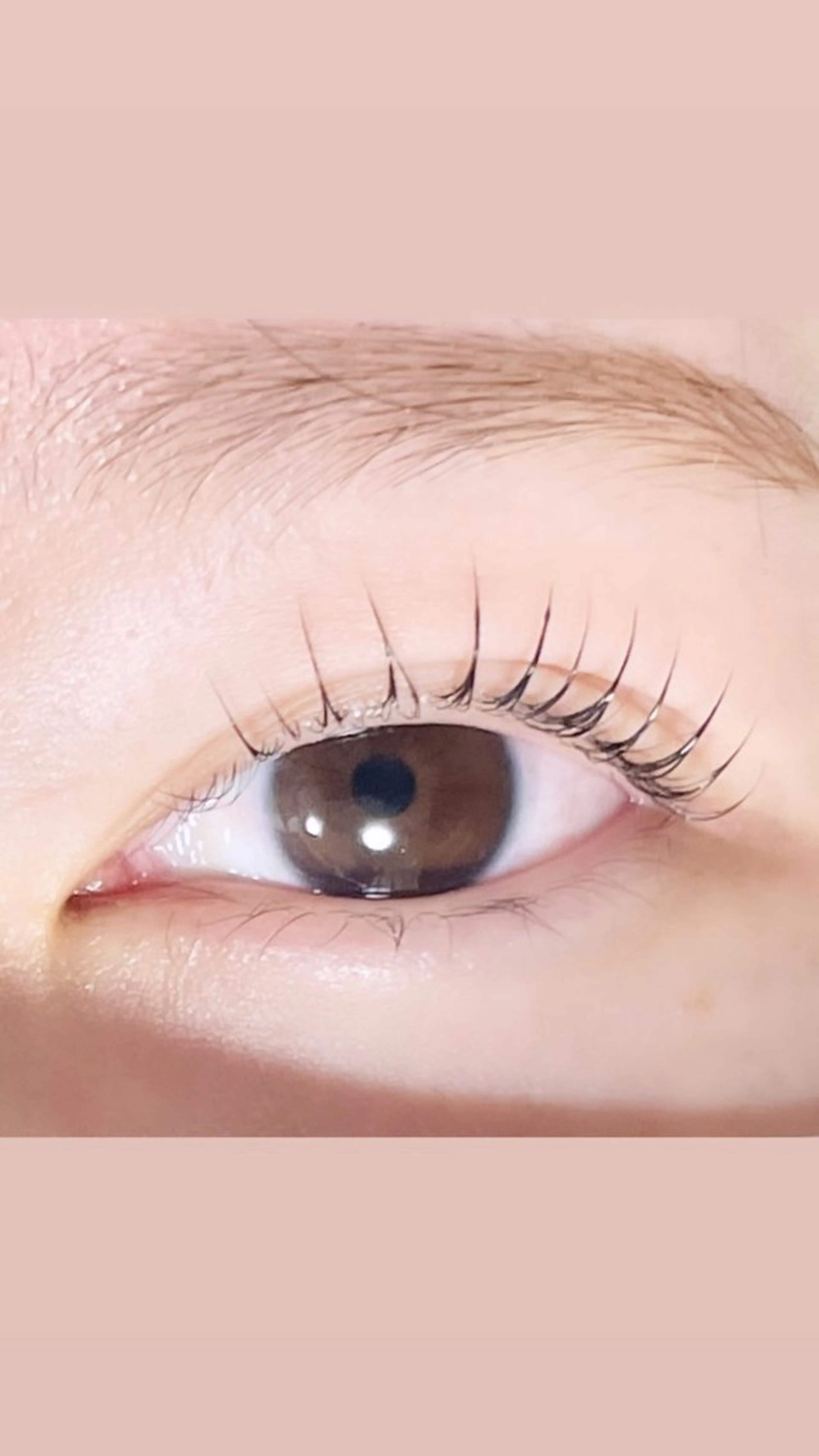 マツエク・マツパ TAKEO🖤 マリーテレジア藤が丘のマツエク・マツパデザイン