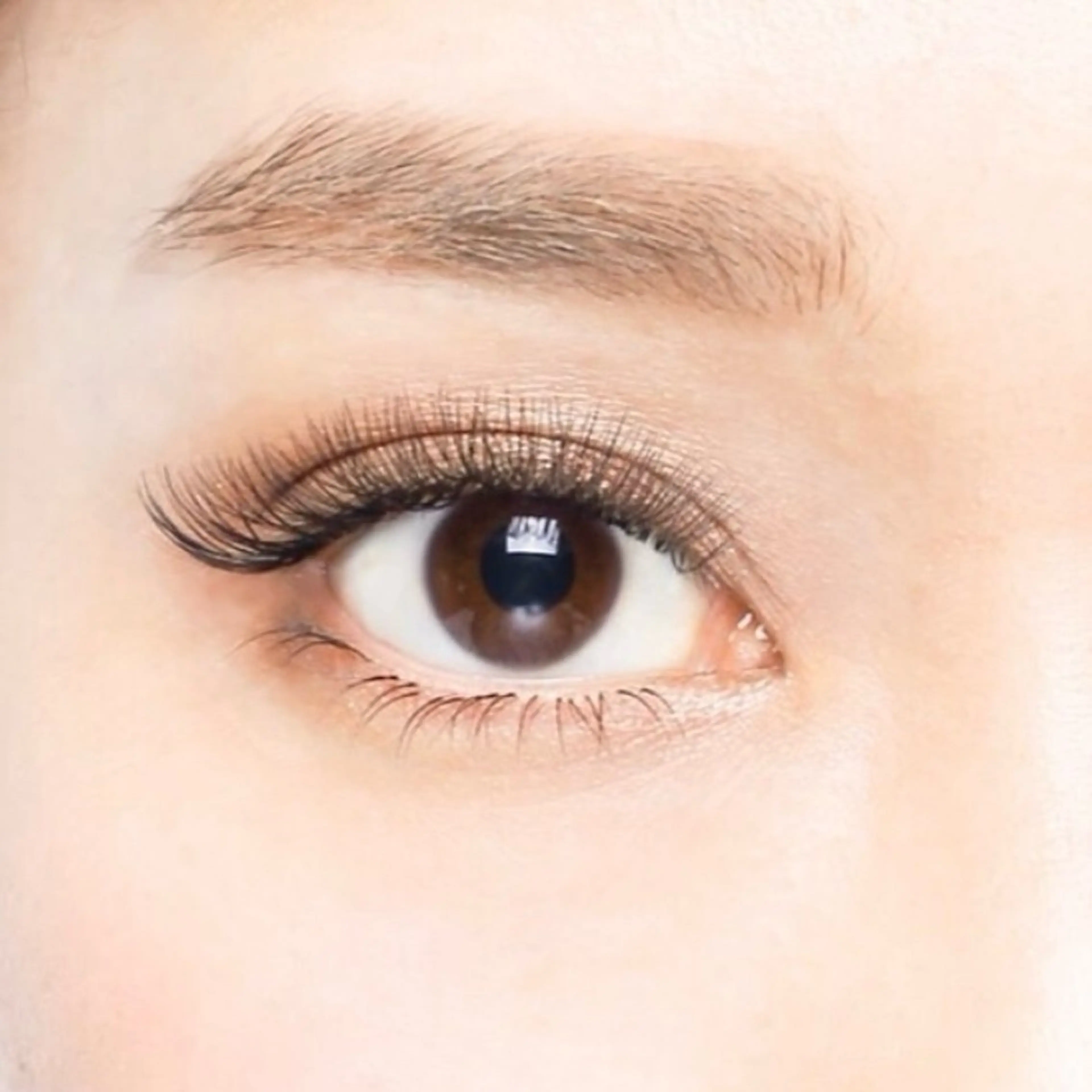 無料モデル募集中✨ボリュームラッシュエクステ🧚‍♀️100束​〜​の写真