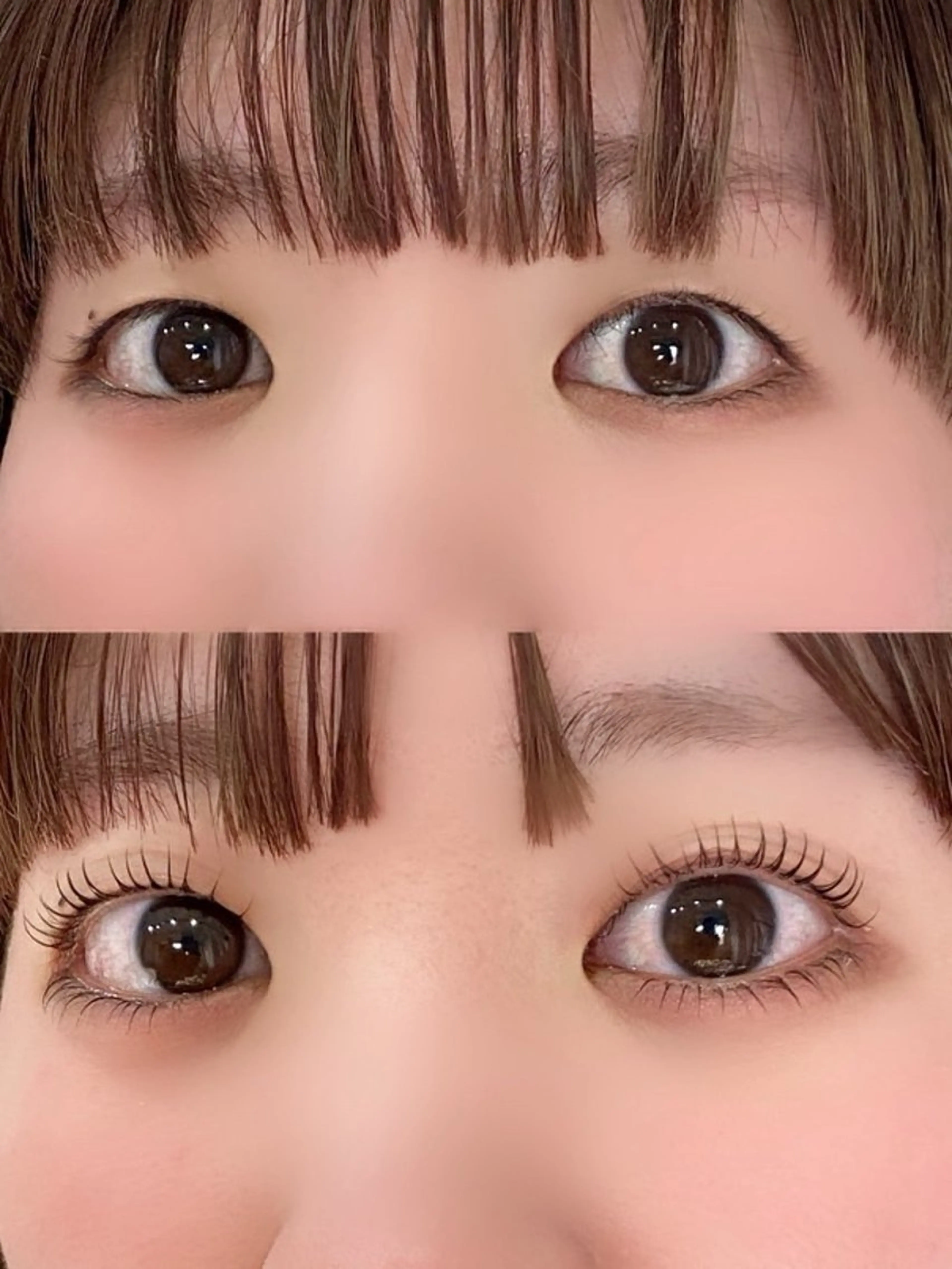 🍇《9／10限定‼️》まつ毛パーマ上下/技術向上の為のモデル募集❣️の写真