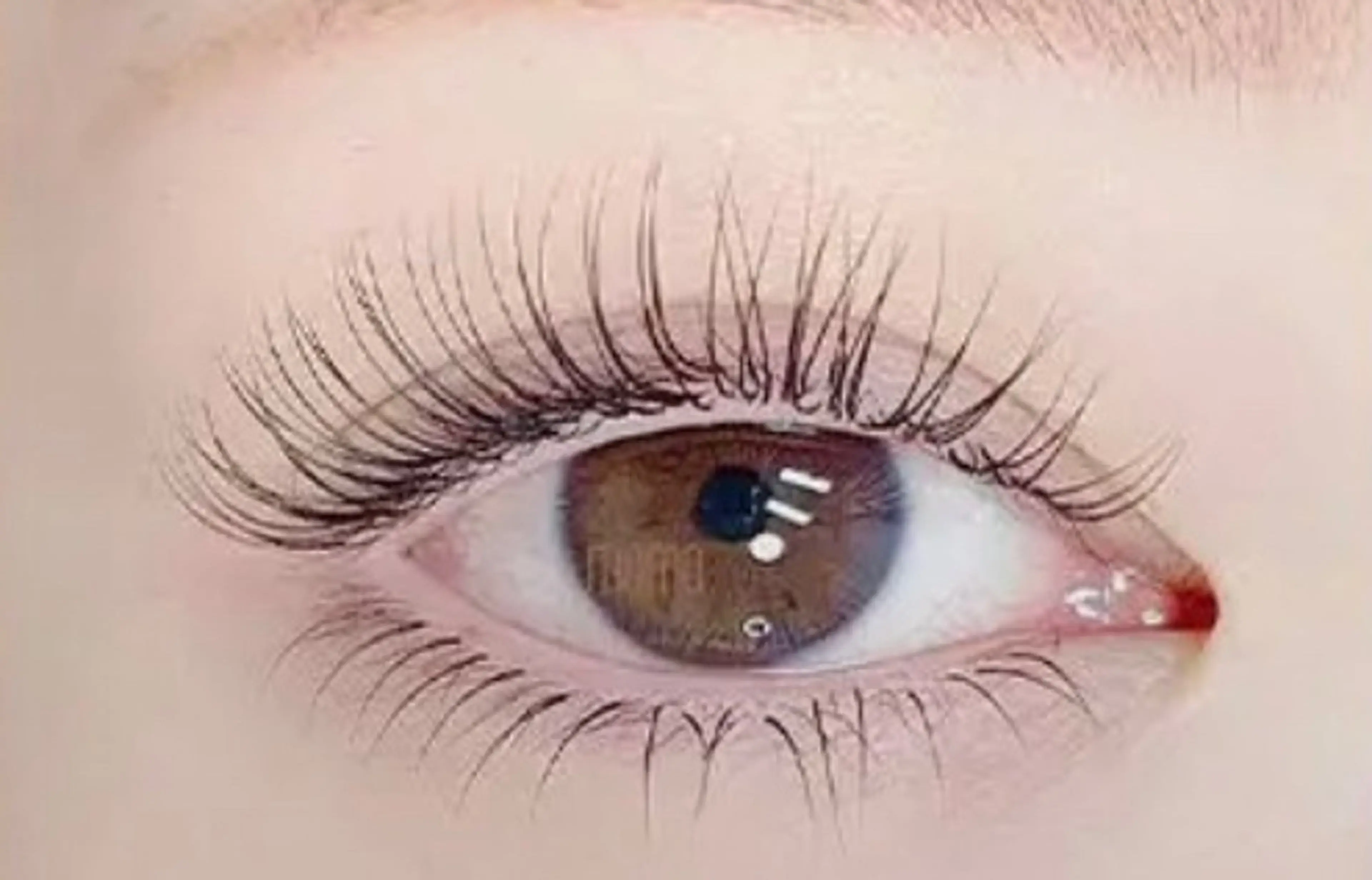 大人気🧚‍♂️ パリエク🧚パリジェンヌ（上まつ毛）+ フラットラッシュ ２Ｄ（200本）+キープ美容液の写真