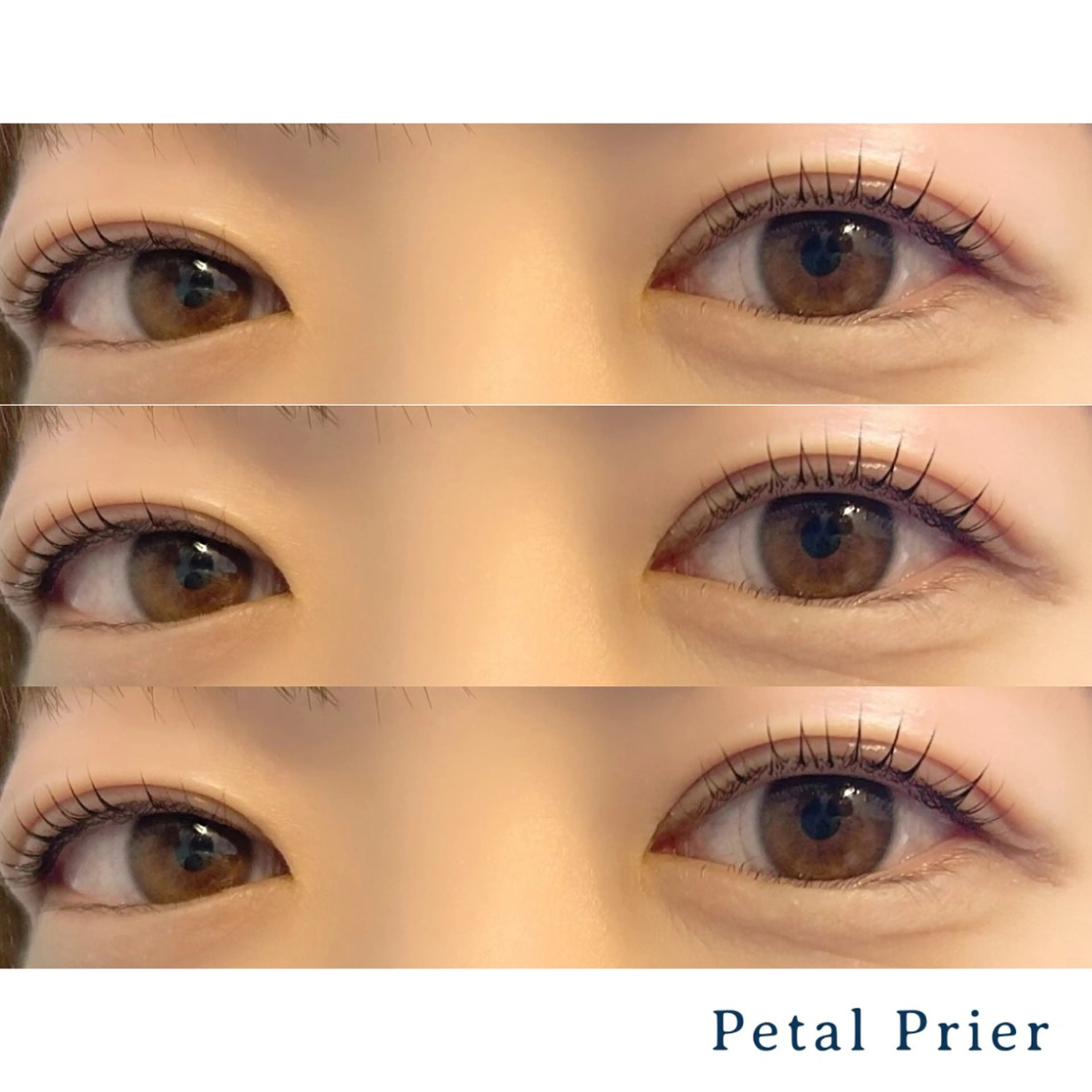 マツエク・マツパ PetalPrier 🌼内藤のマツエク・マツパデザイン