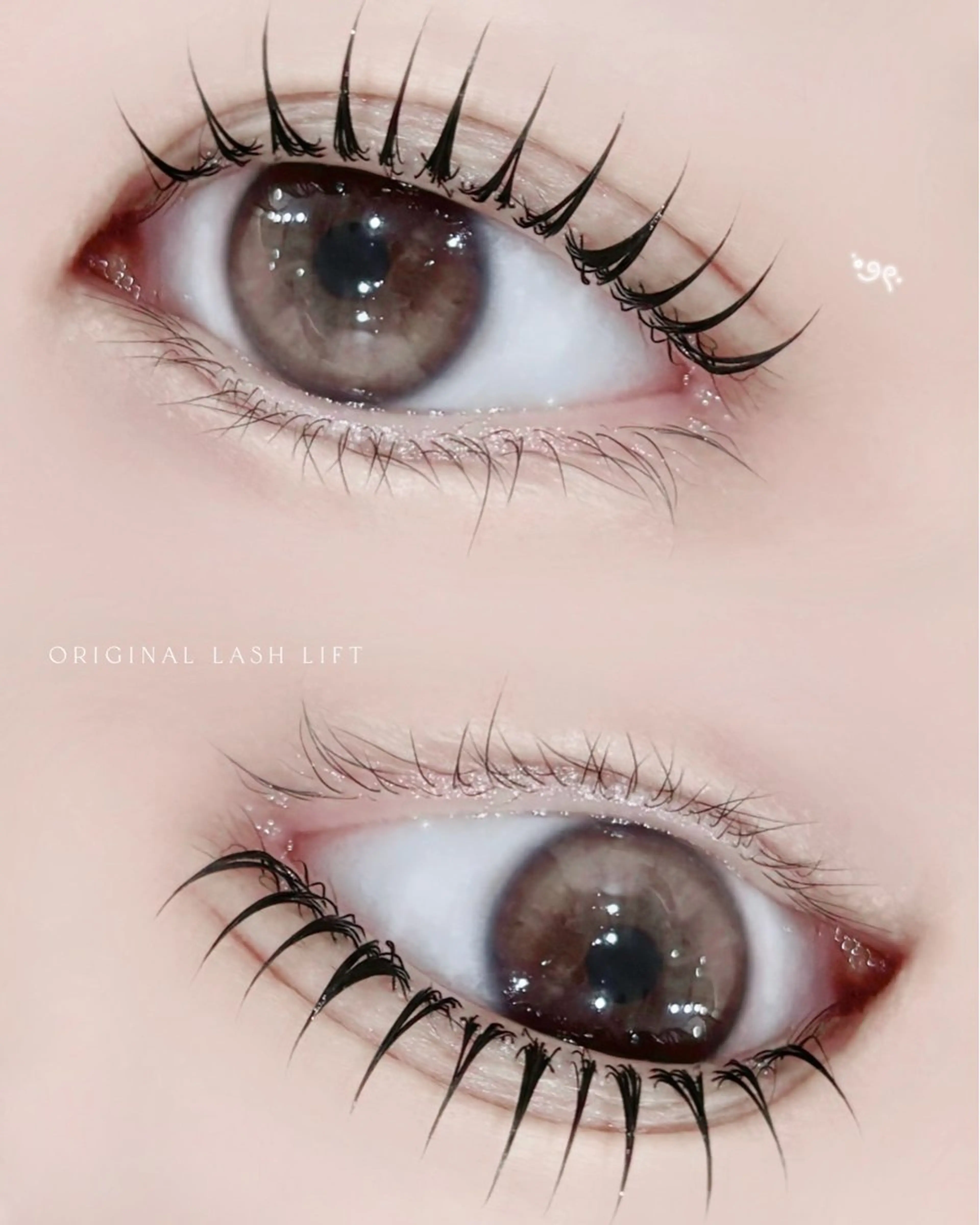 ãããšã¯ã»ããã ããã EMANONæå±ã»ððððð€ ææãŸã€ãïœå¿ææ©ã®ãããšã¯ã»ããããã¶ã€ã³