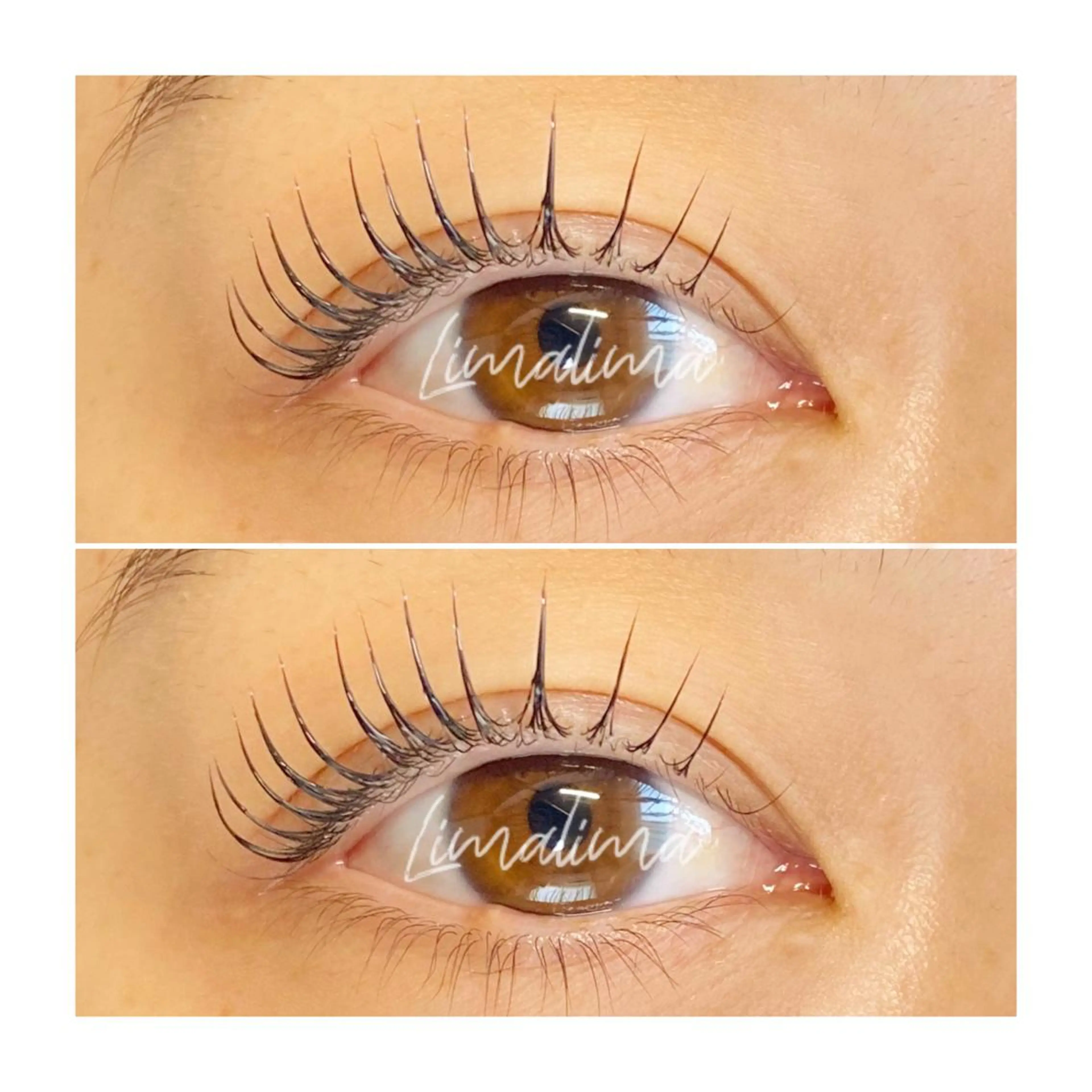 マツエク・マツパ 束感まつ毛 まつげパーマ Limalima所属・まつ毛と眉毛の専門店 Limalima🌿のマツエク・マツパデザイン