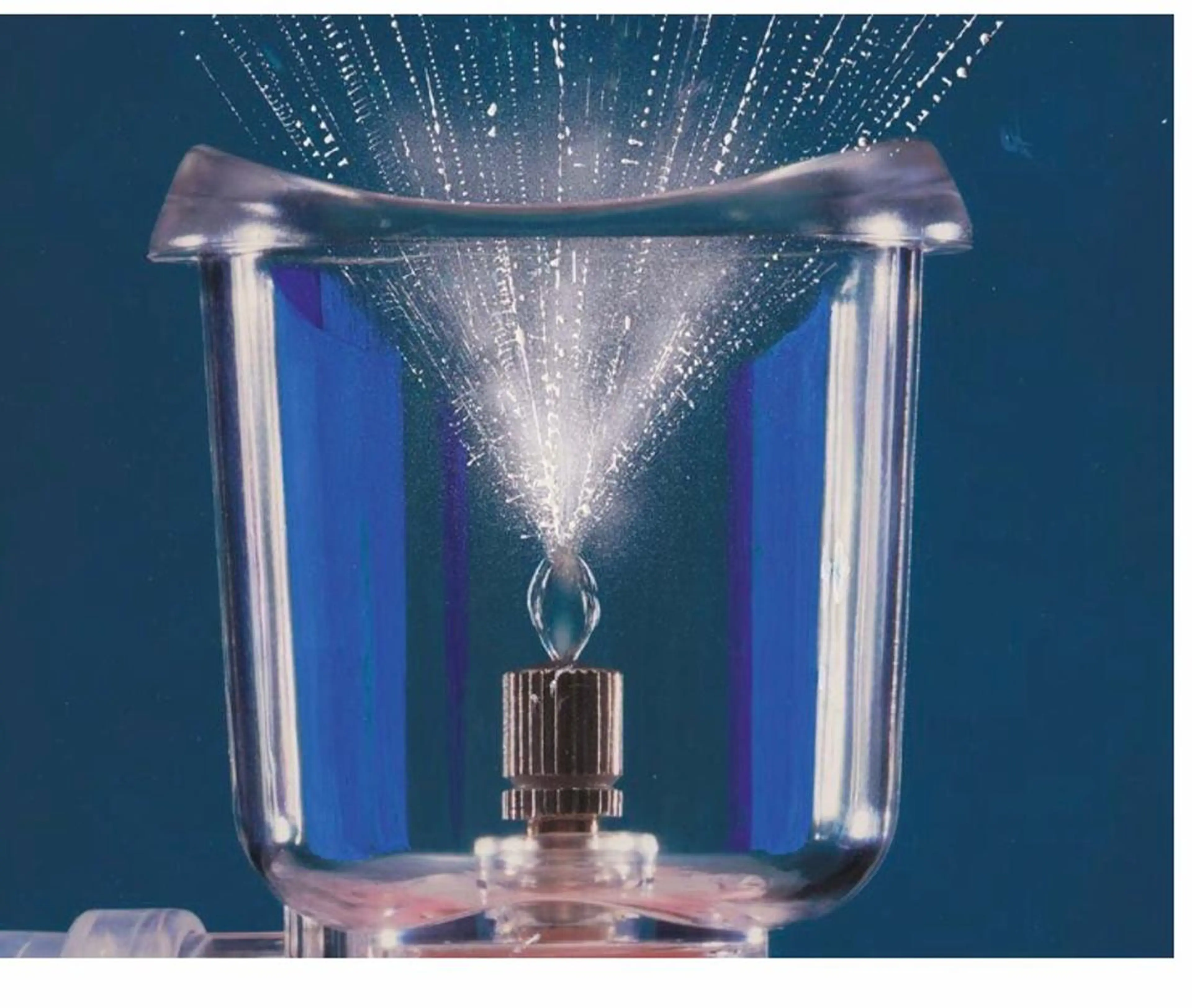 ショート カラー パーマ ヘアアレンジ メンズ キッズ ネイル マツエク・マツパ 銀河 ティンガーラのヘアスタイル