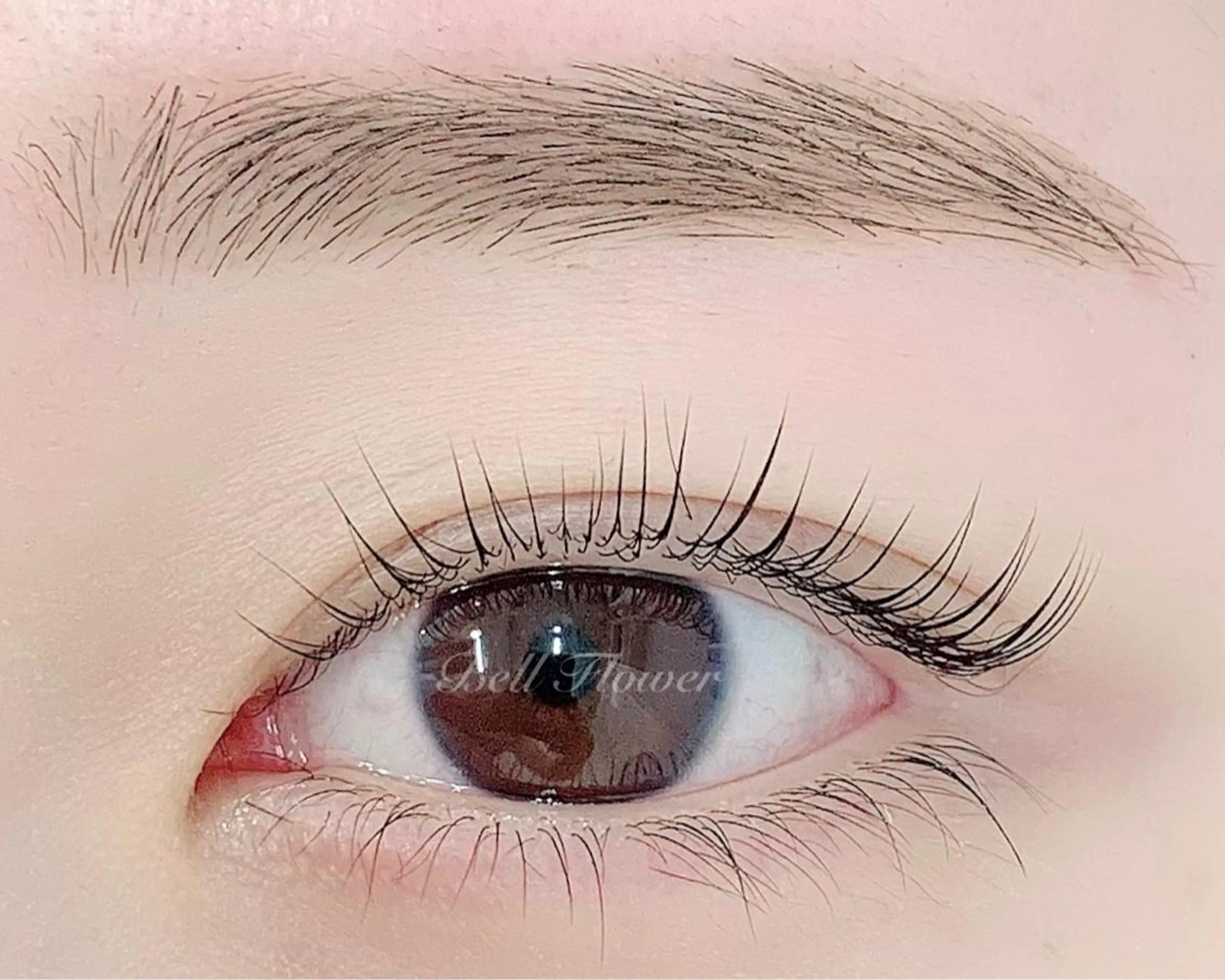 マツエク・マツパ アイブロウ 眉毛ワックス脱毛 パリジェンヌラッシュリフト まつげパーマ BellFlower Aki(眉・まつげ)のマツエク・マツパデザイン