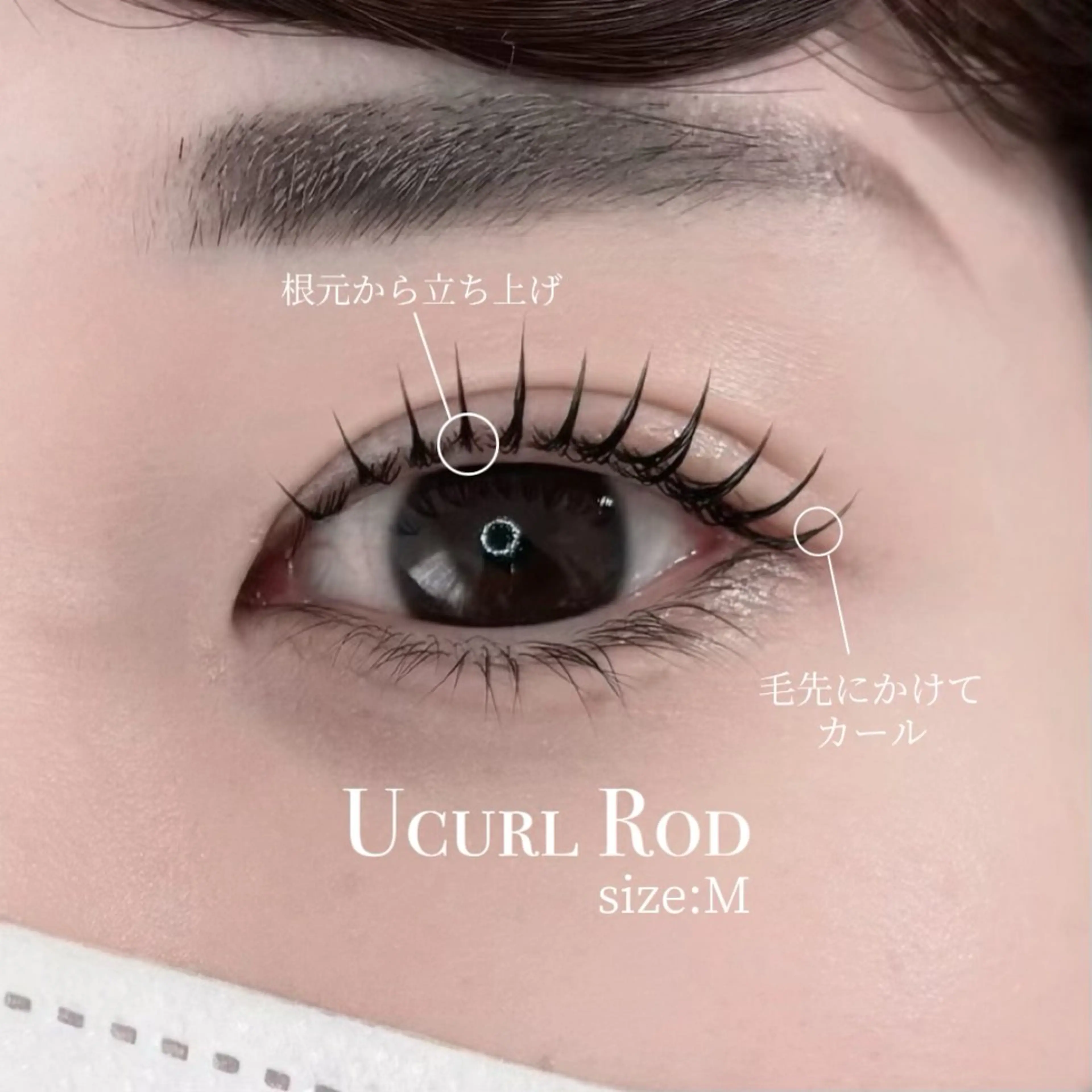 マツエク・マツパ まつげパーマ マツパ CONNECT所属・eyelist ✵ Itsukiの眉毛・アイブロウイメージ