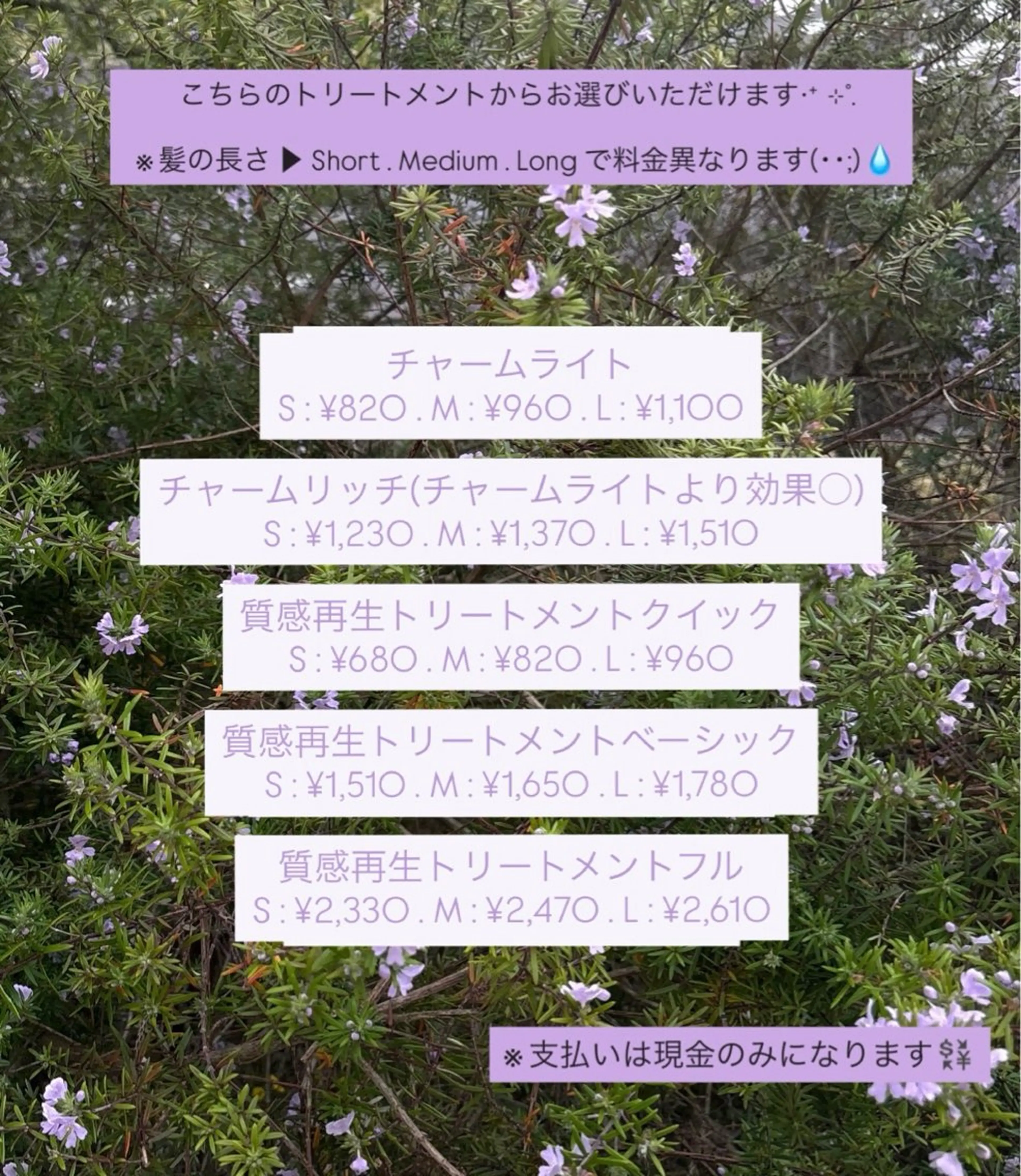 HIBIKI / ブリーチモデルのヘアスタイル