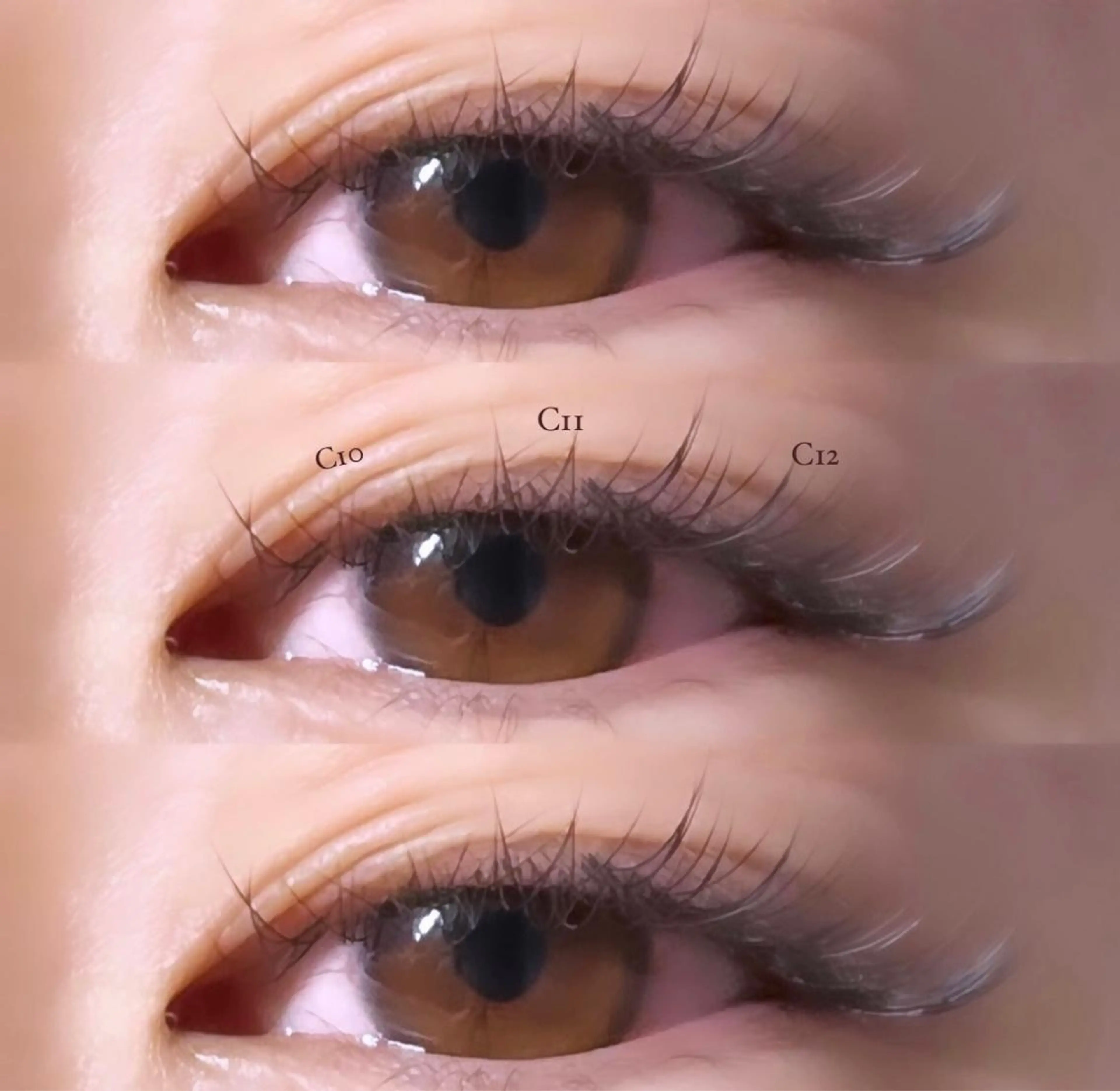 マツエク・マツパ 目尻長め セーブル クレアラルーチェ姫路英賀保店所属・クレアラルーチェ 姫路英賀保店のマツエク・マツパデザイン