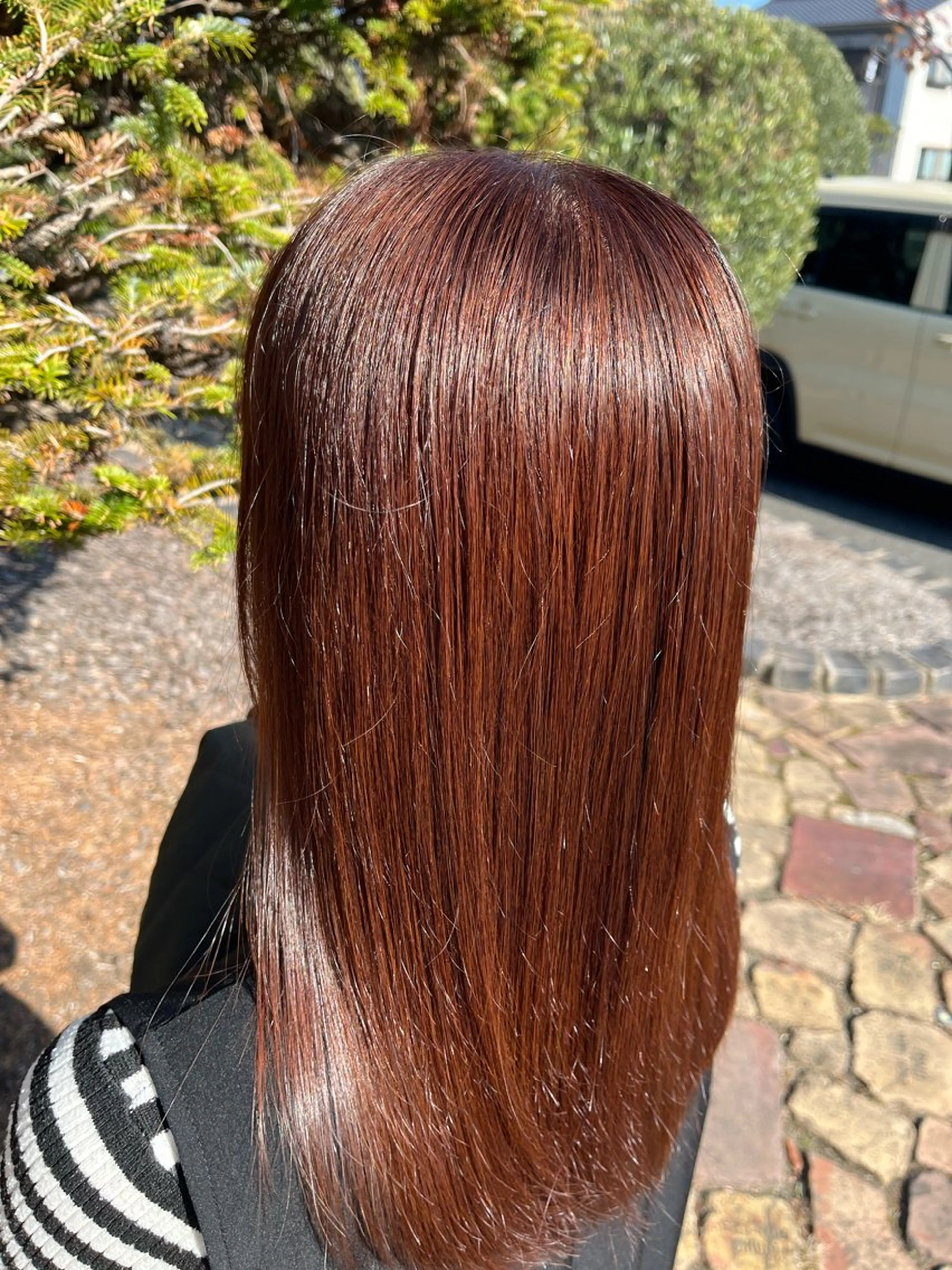 ミディアム レッドブラウン カット ヘアカラー 西田 早輝子🍊のヘアスタイル