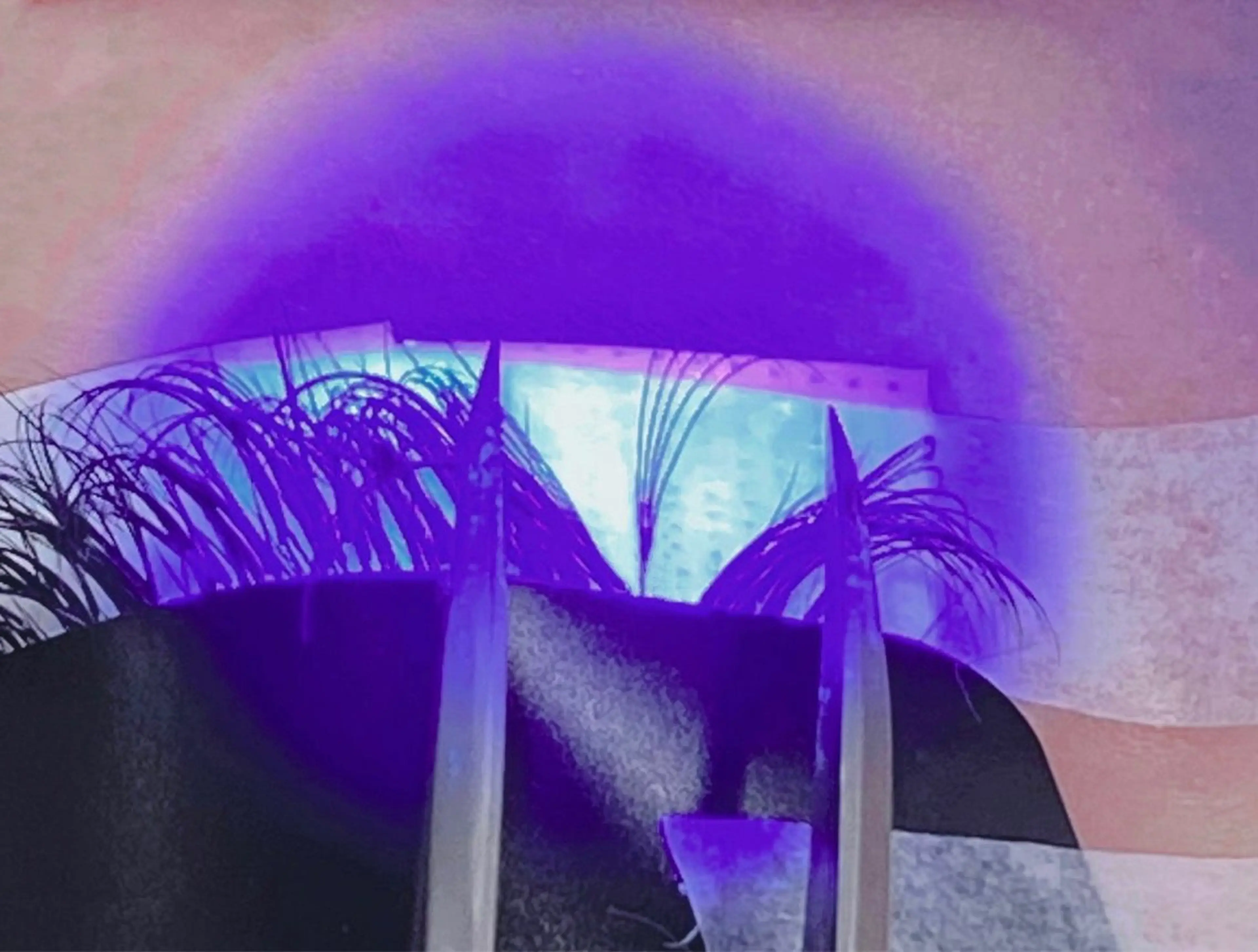 付け足しＯＫ❣️ ボリュームLEDラッシュ  200本VLEDLASH®︎シングル80本ほどの濃さの写真