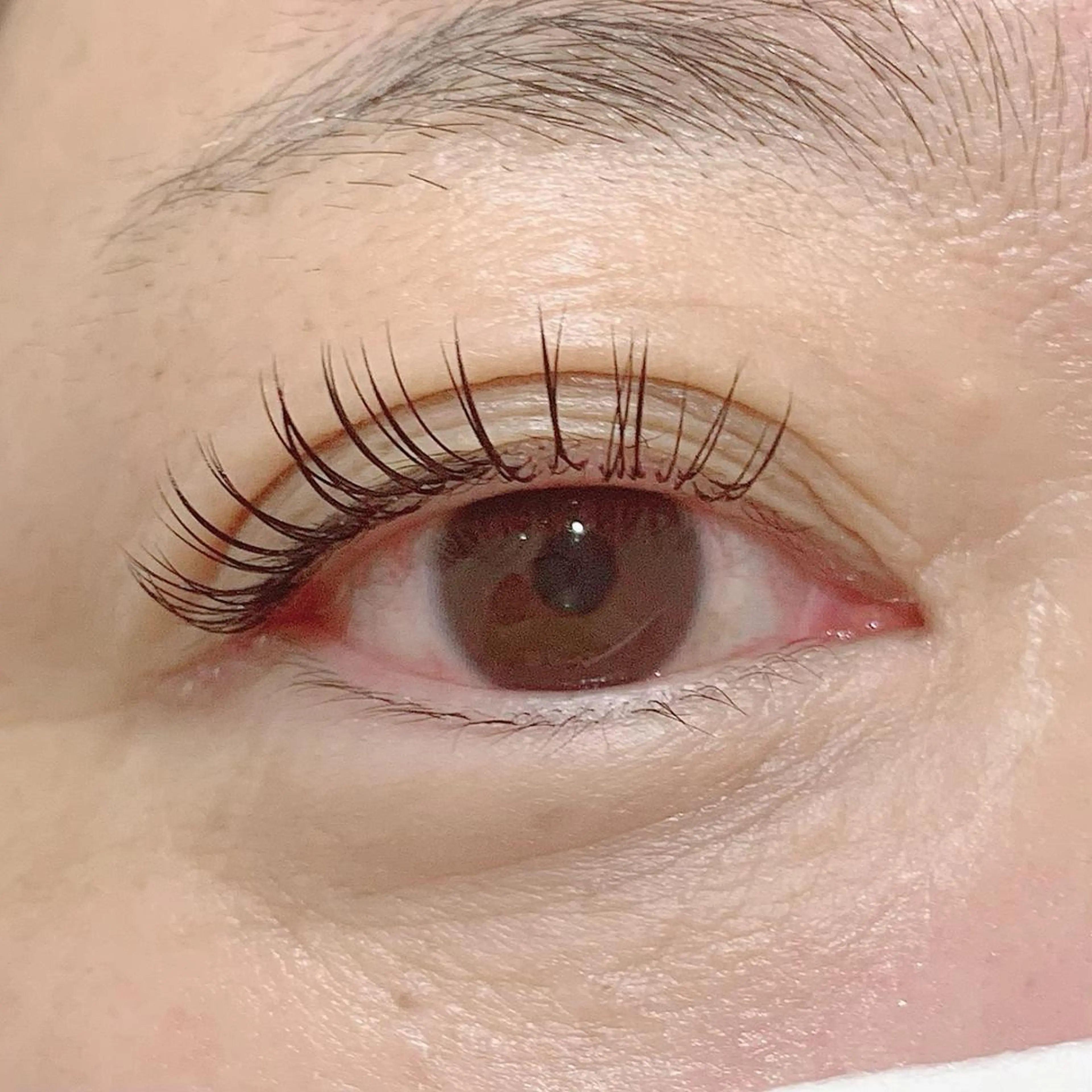 マツエク・マツパ 池袋駅韓国風🇰🇷 束感💗Tomoのマツエク・マツパデザイン