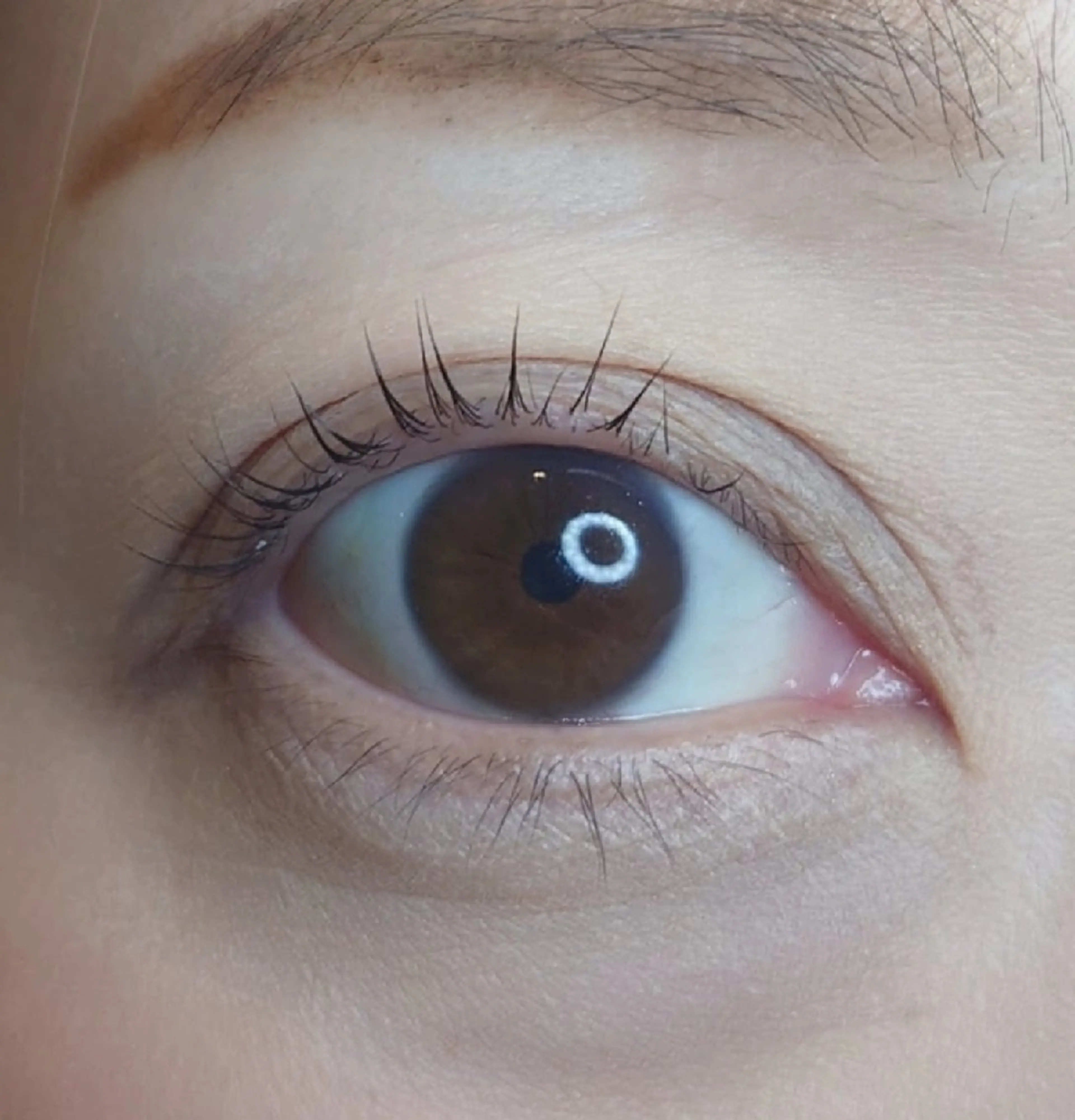 次世代まつげパーマの写真