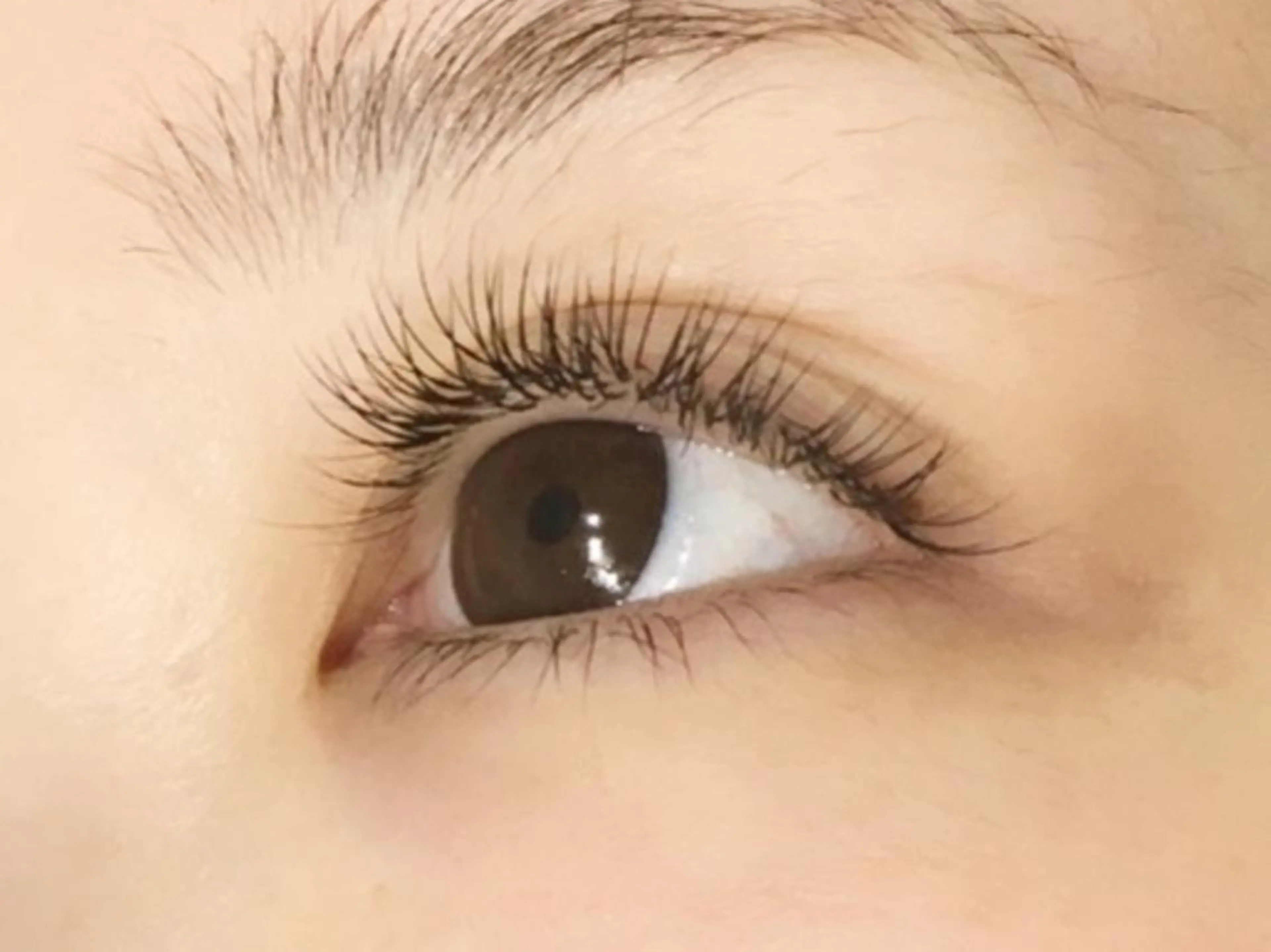 マツエク・マツパ セーブル VERRY. 斉藤のマツエク・マツパデザイン