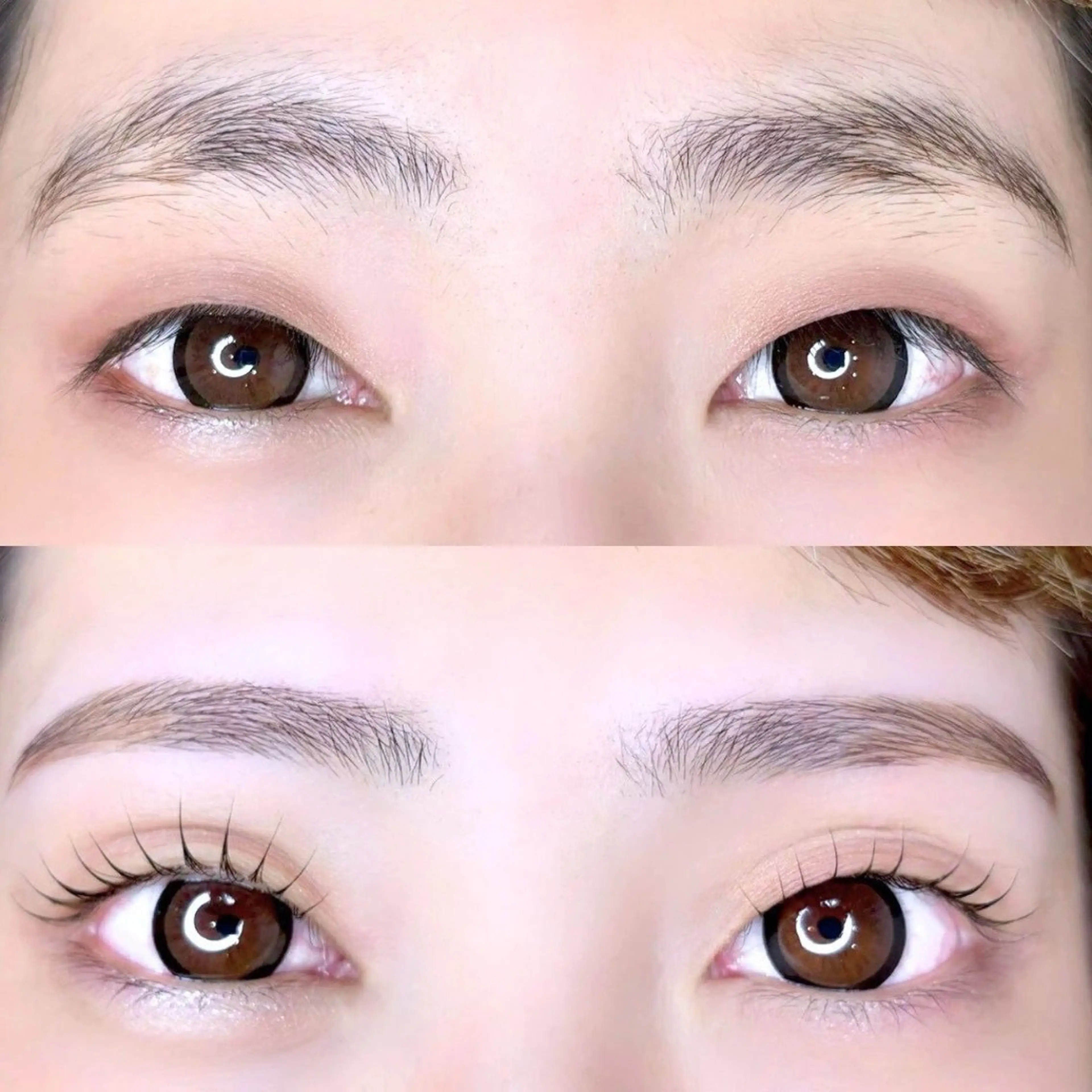 ✨アパリジェンヌラッシュリフト（上パーマ）＋ハリウッドブロウリフト✨の写真