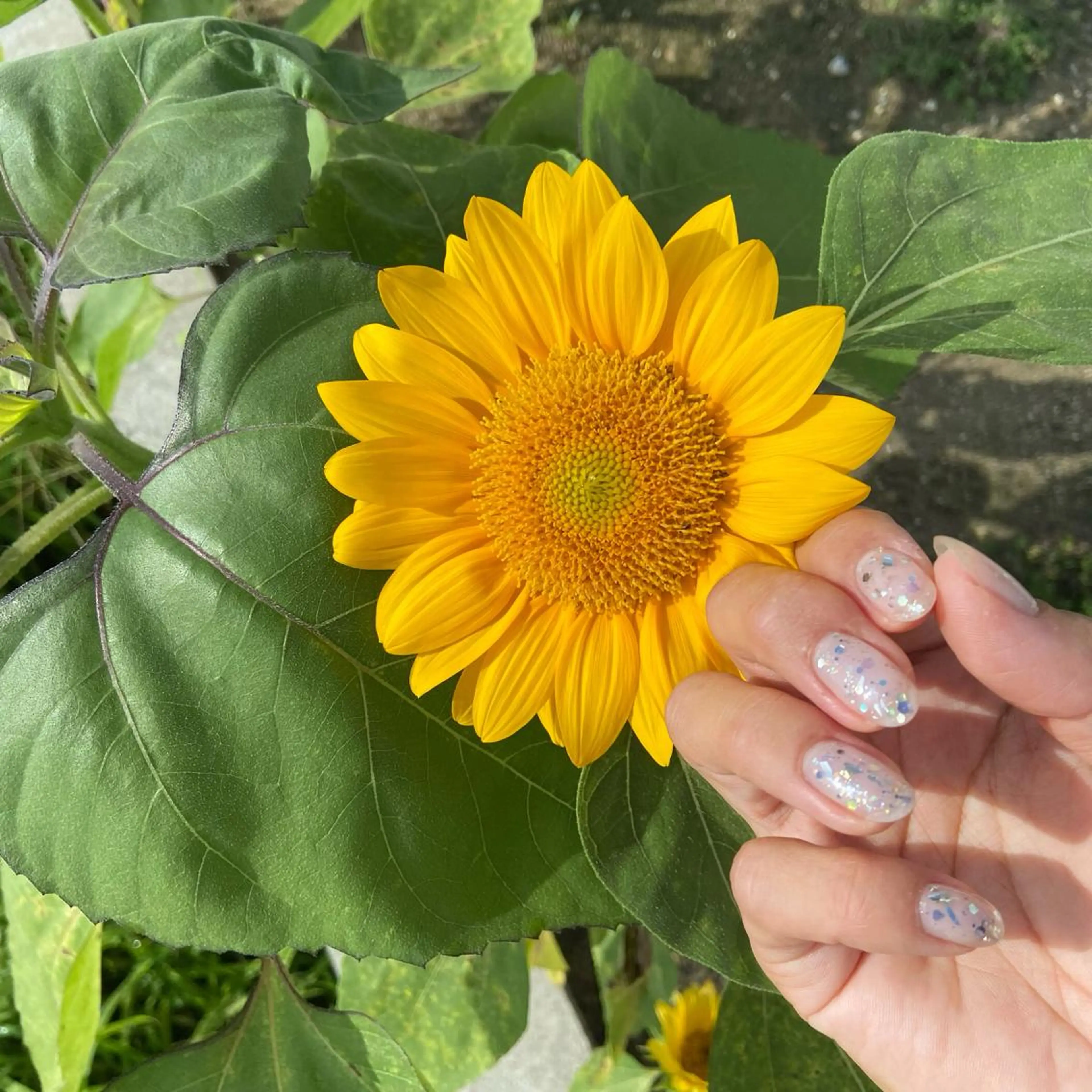 ネイル クリアネイル ラメ(グリッター) ミラーネイル ニュアンスネイル nail salon  ADORE所属・Adore nailのネイルデザイン