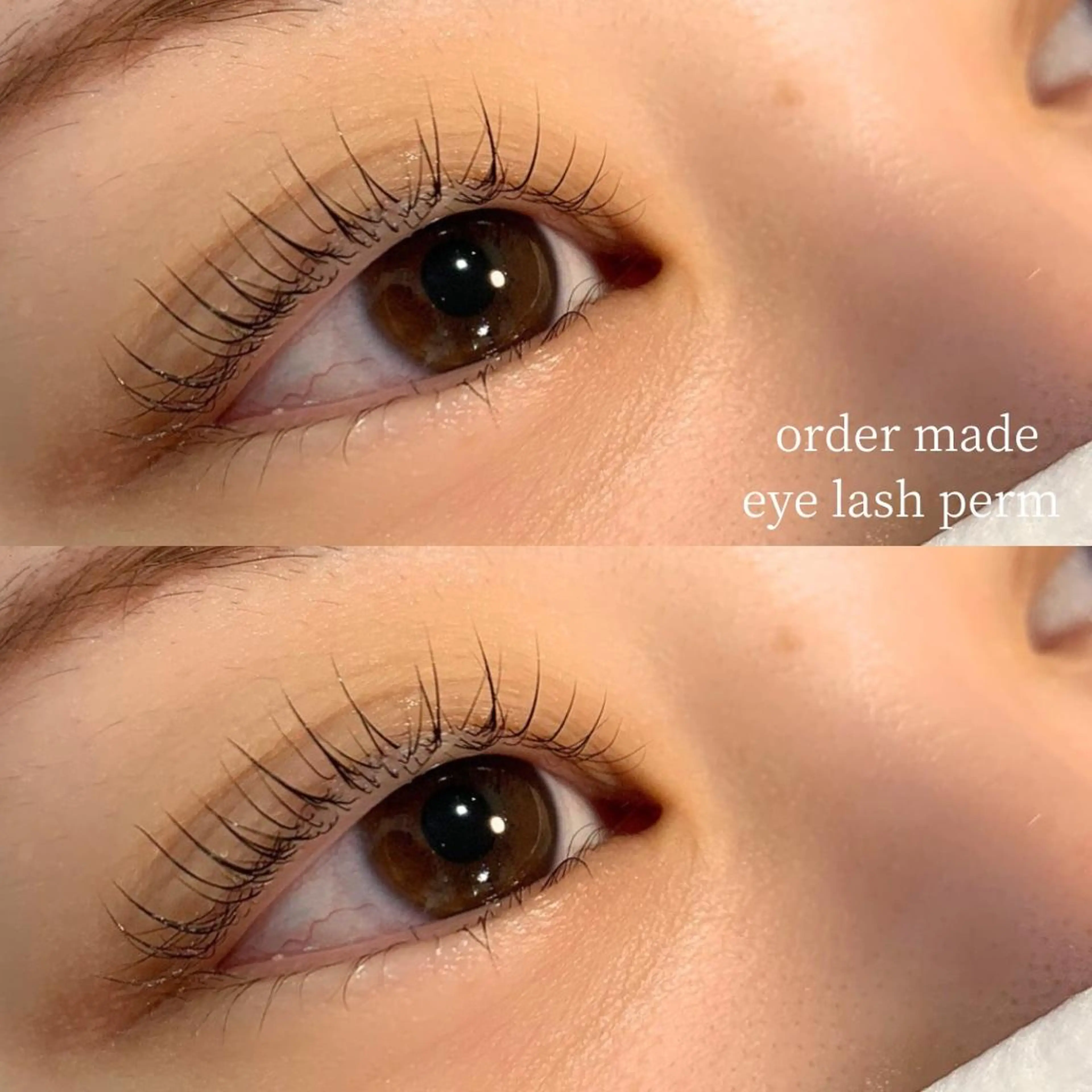 マツエク・マツパ eyebrow 🎀Nanami🎀の眉毛・アイブロウイメージ