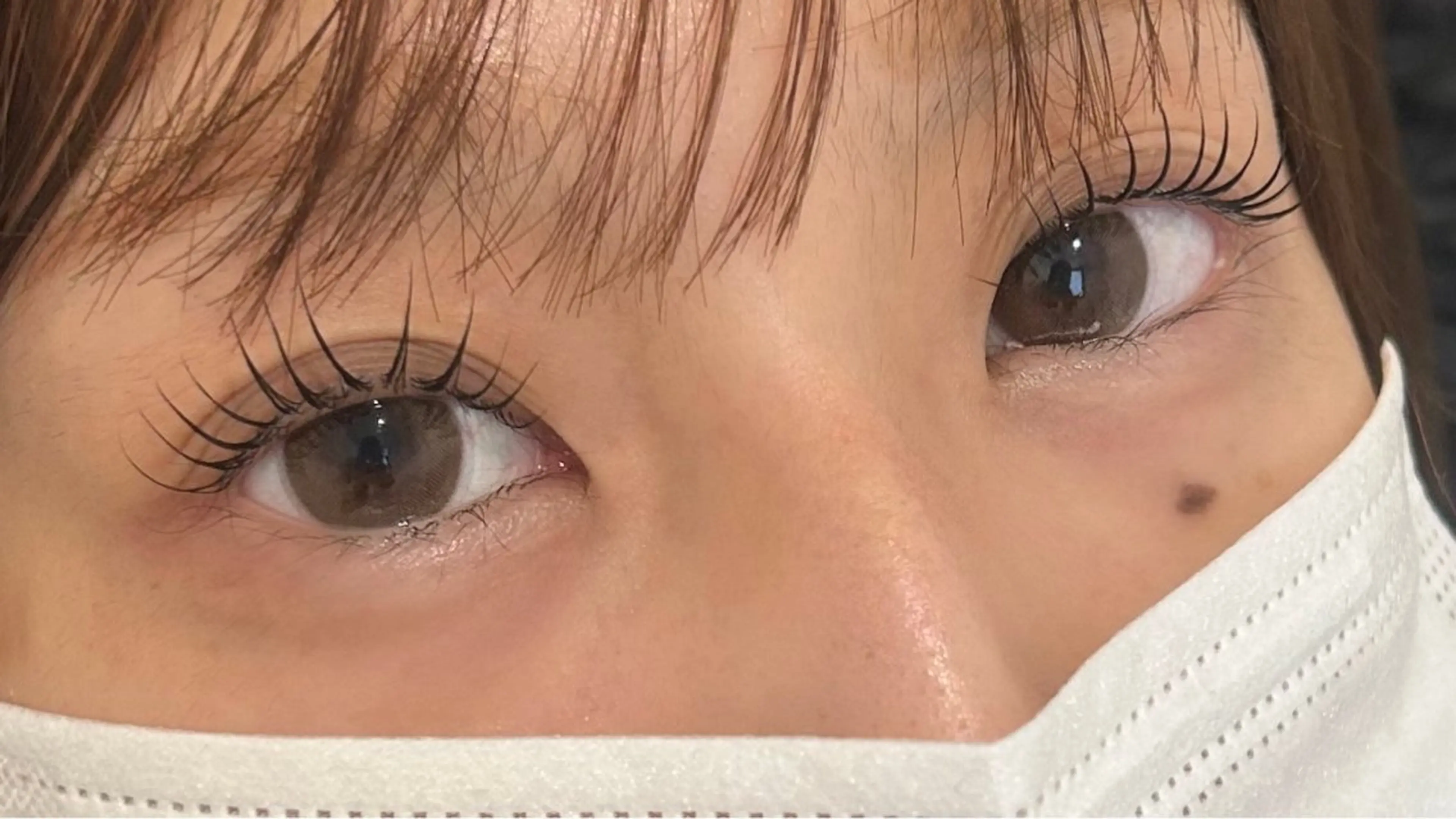 👀無料上まつげパーマの写真