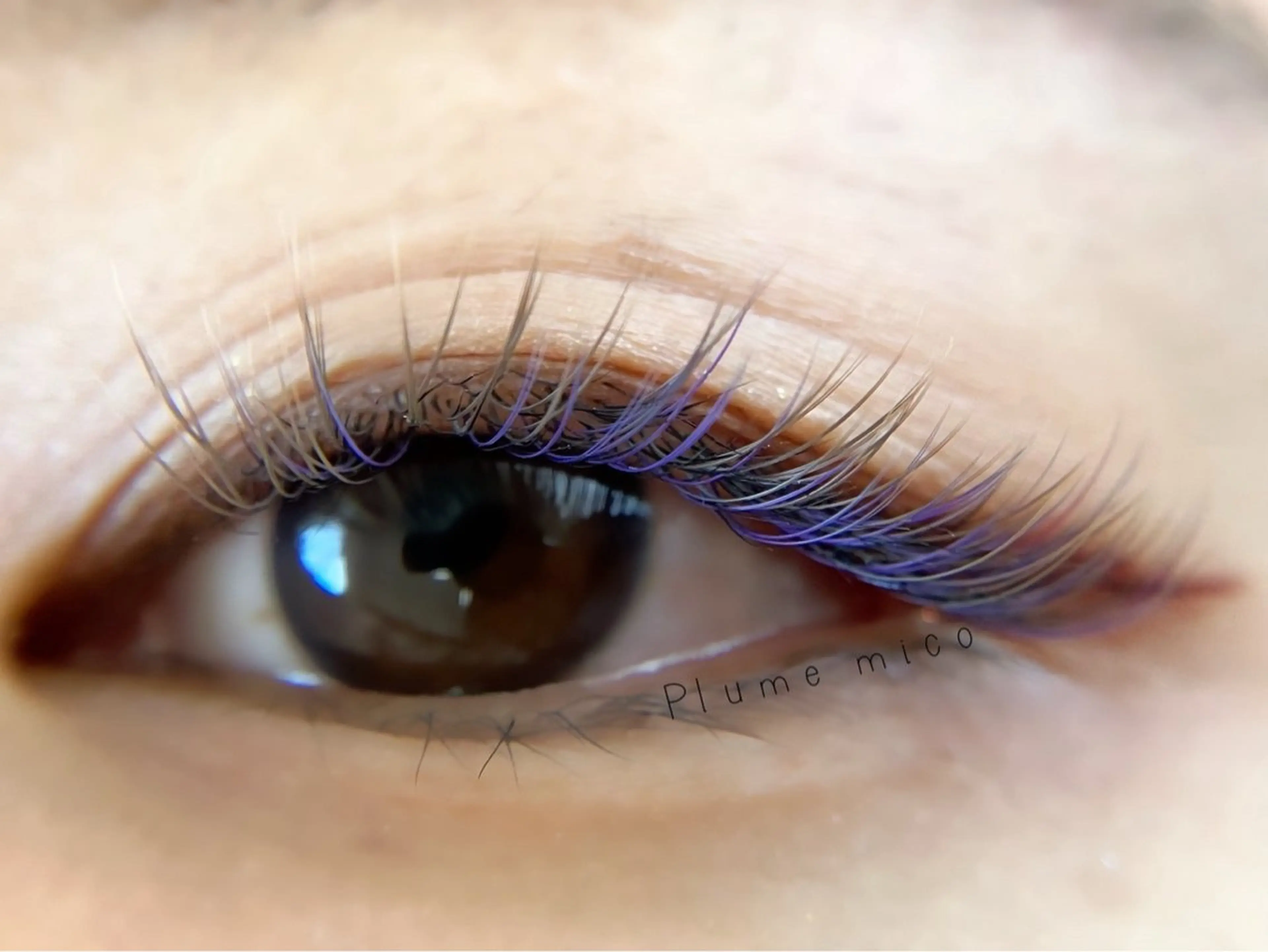 マツエク・マツパ マツエク Plume micoのマツエク・マツパデザイン