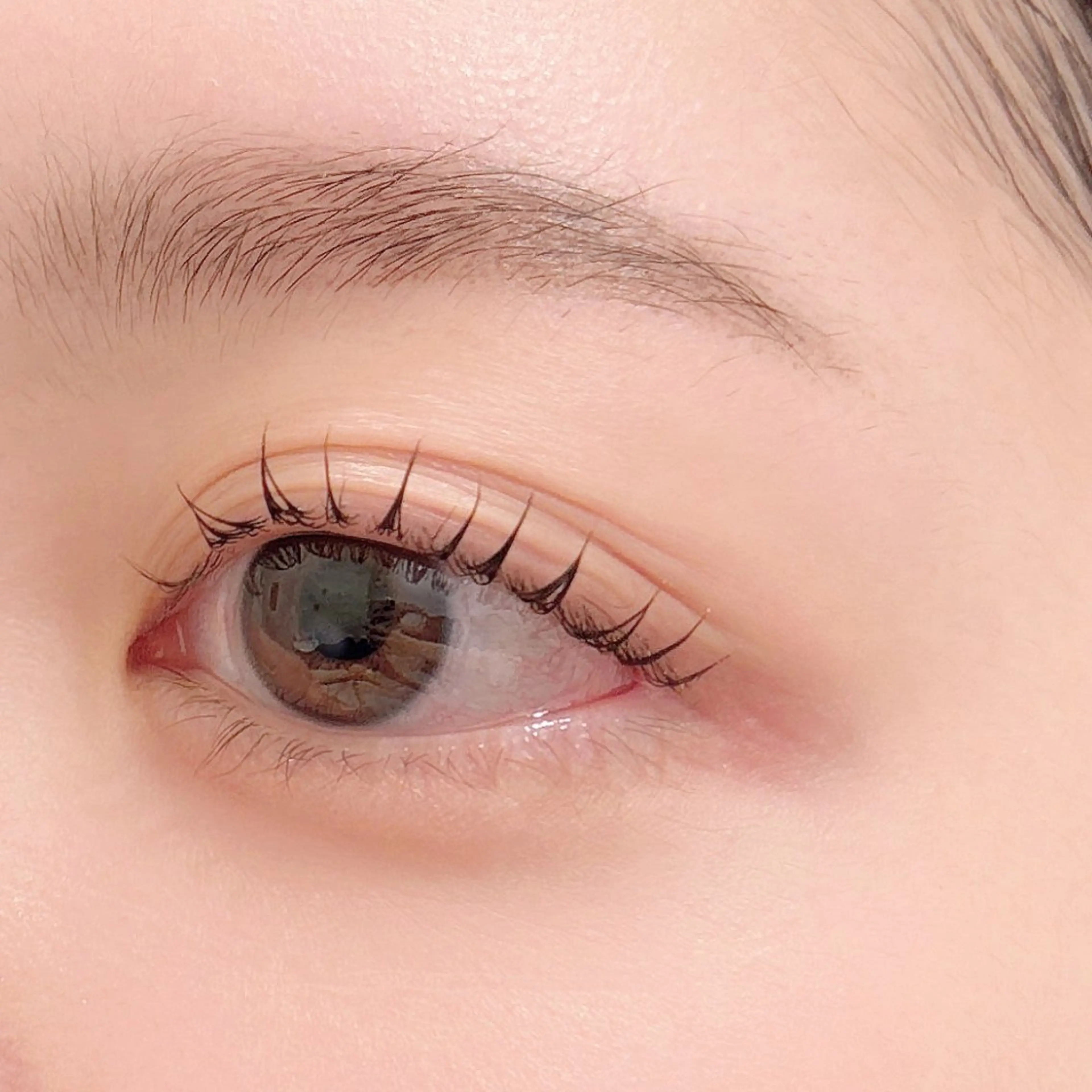 マツエク・マツパ Cカール ナチュラル マツパ 🤍Riina /国分寺🤍のマツエク・マツパデザイン