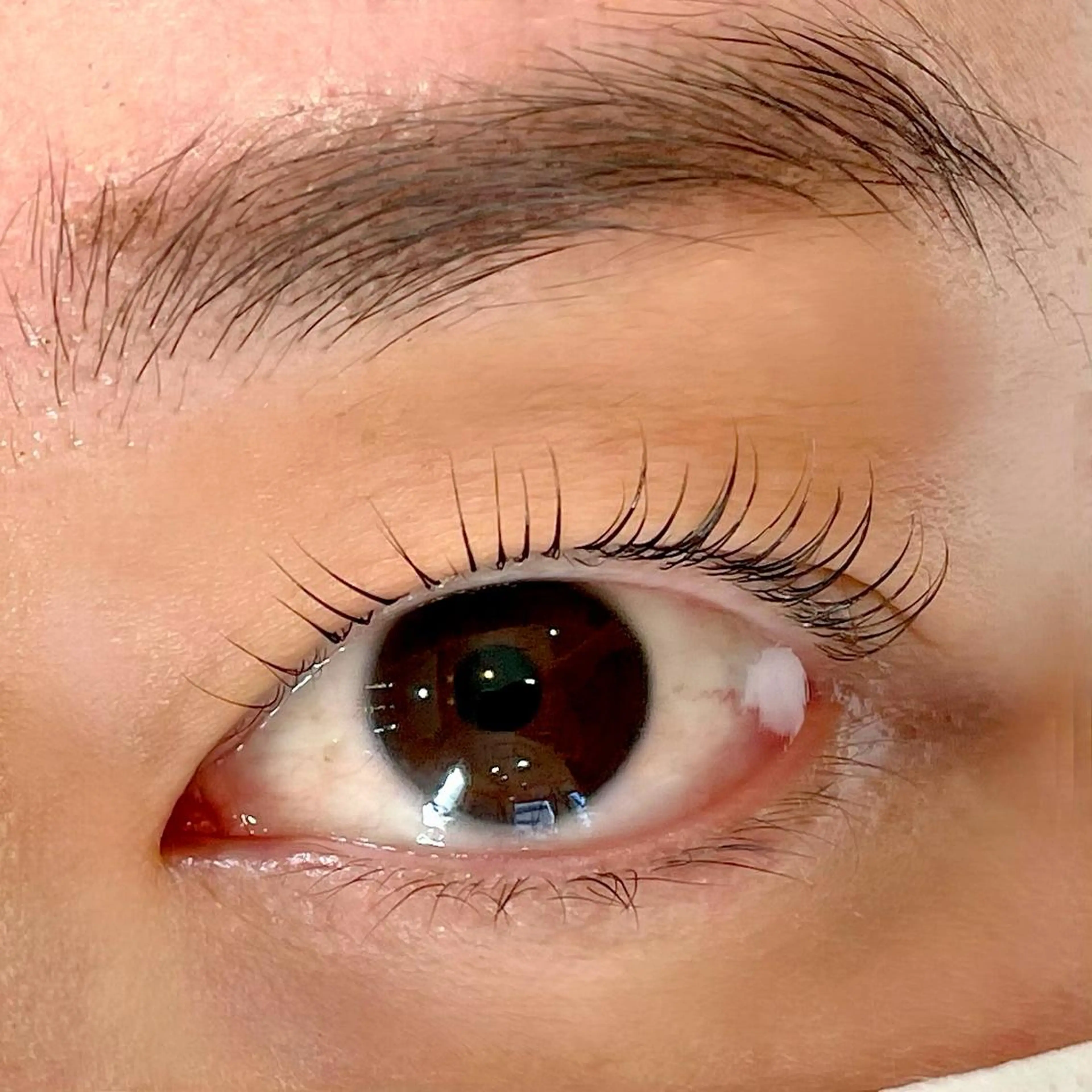 パーマ マツパ Allma eyeのマツエク・マツパデザイン