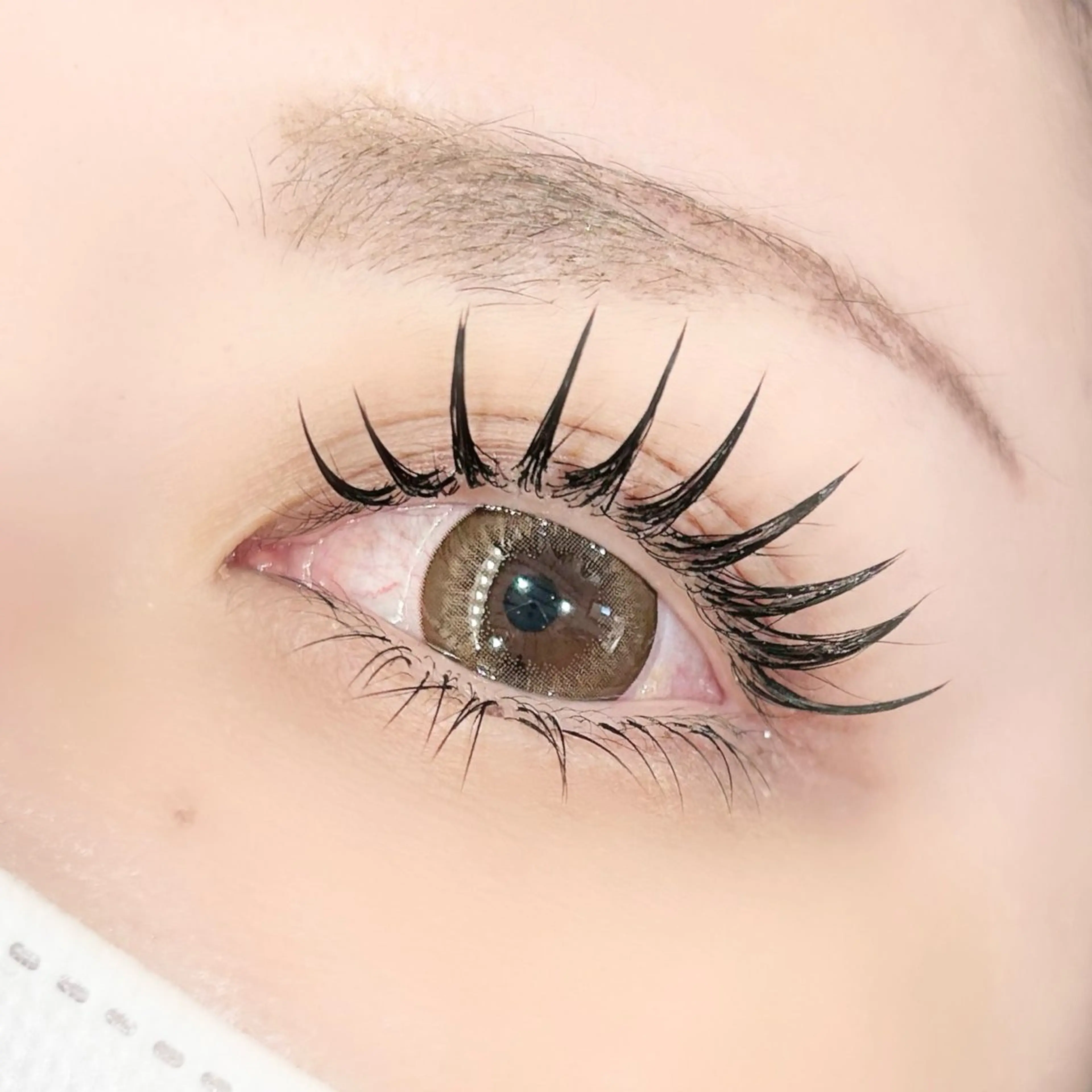 ダブルフラット100束《初回オフ無料》の写真