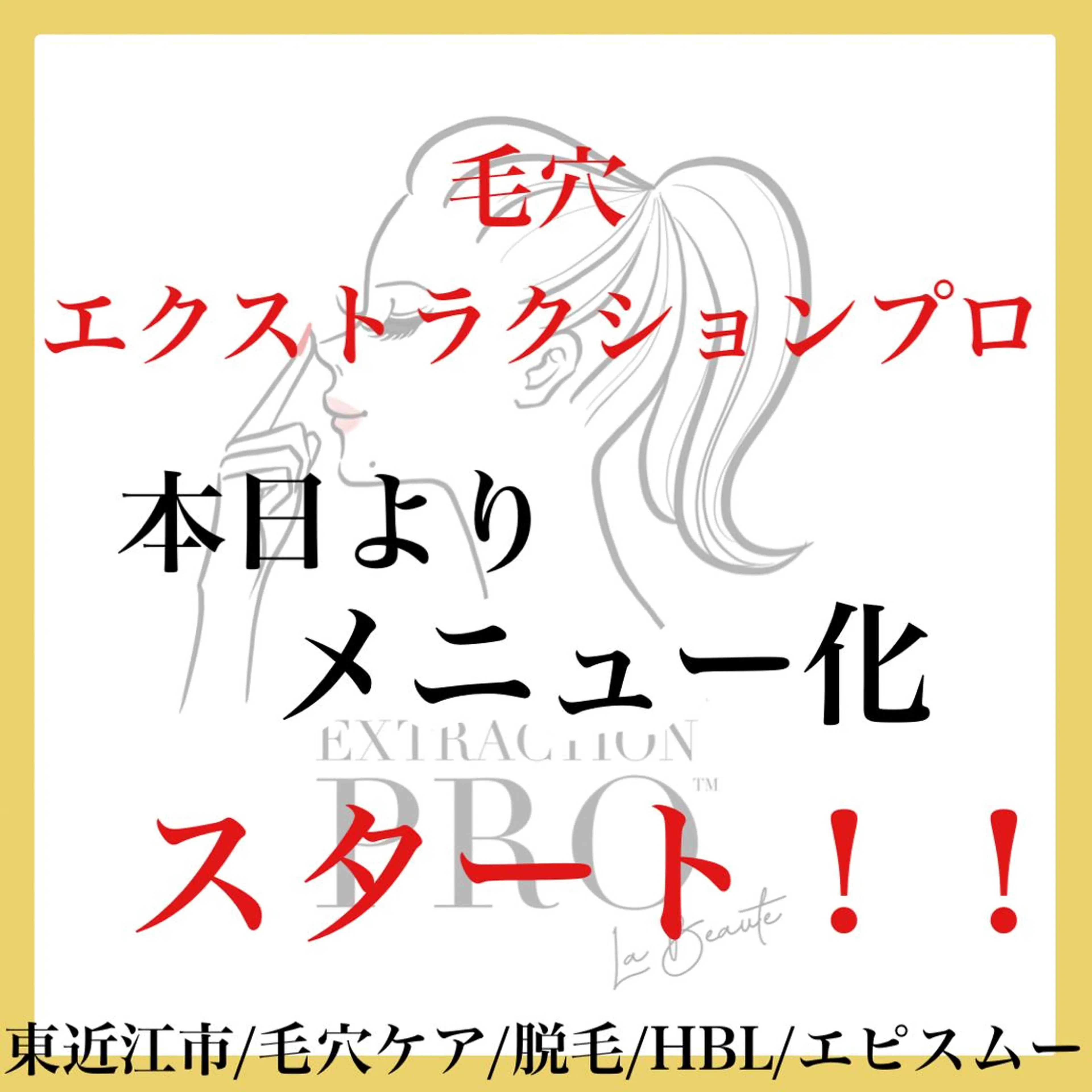 epismoo 脱毛/HBL/毛穴の眉毛・アイブロウイメージ