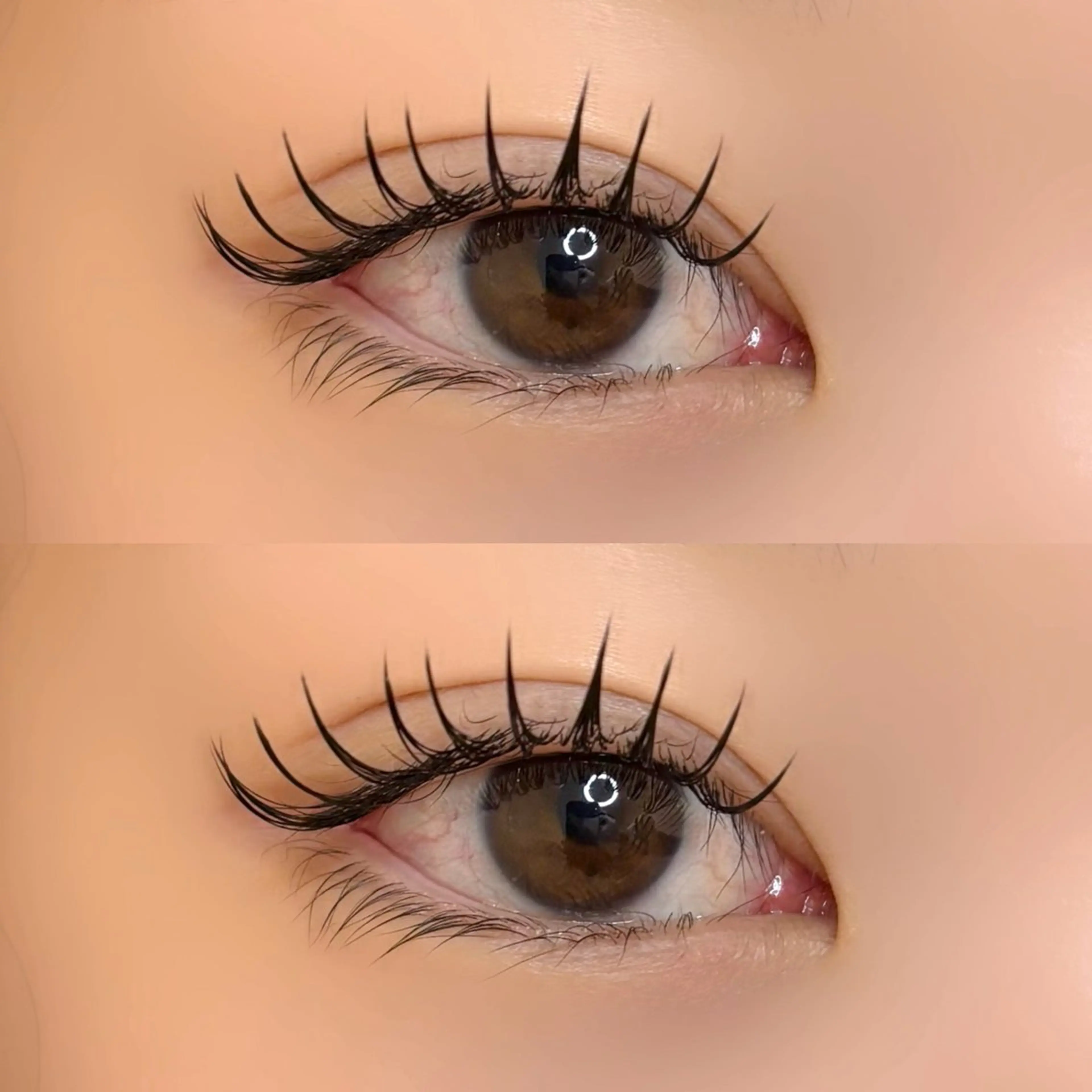 期間限定❄️フラットラッシュ100本🪽🫧の写真