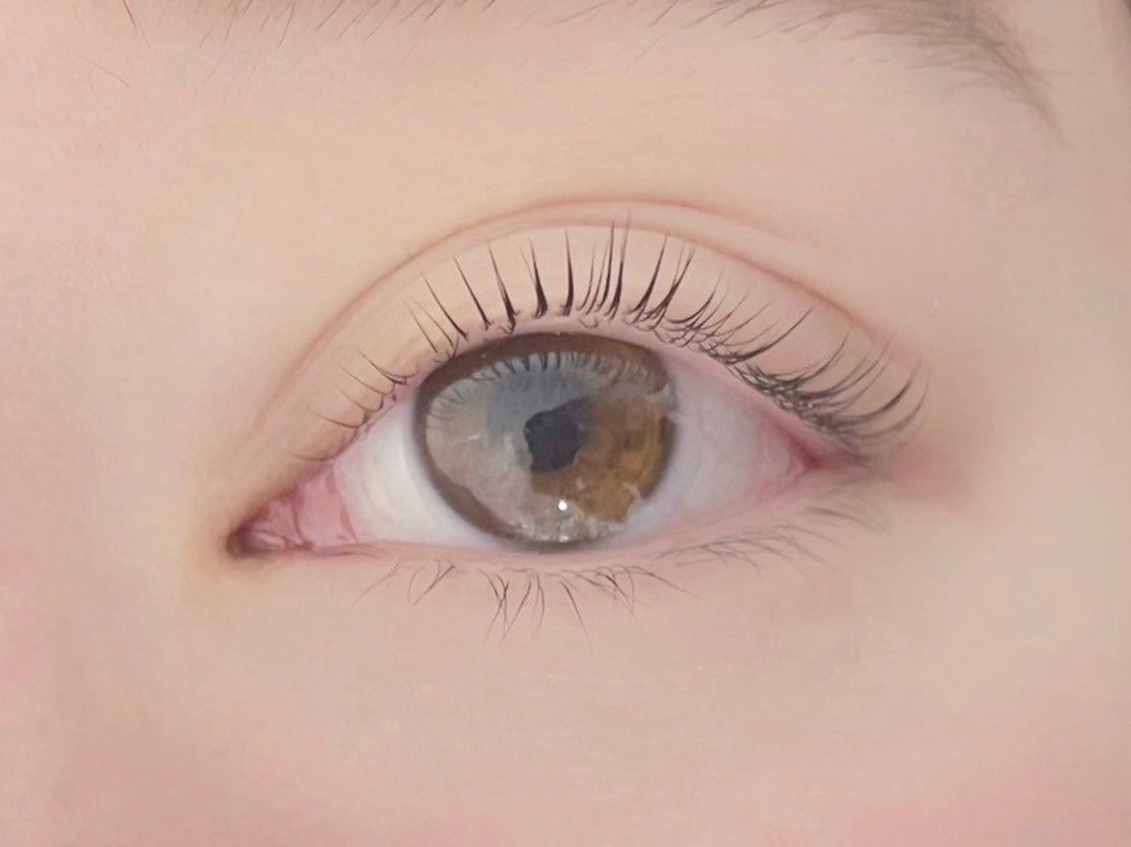 マツエク・マツパ マツパ Honey&Miel 🐣🤍AiRiのマツエク・マツパデザイン