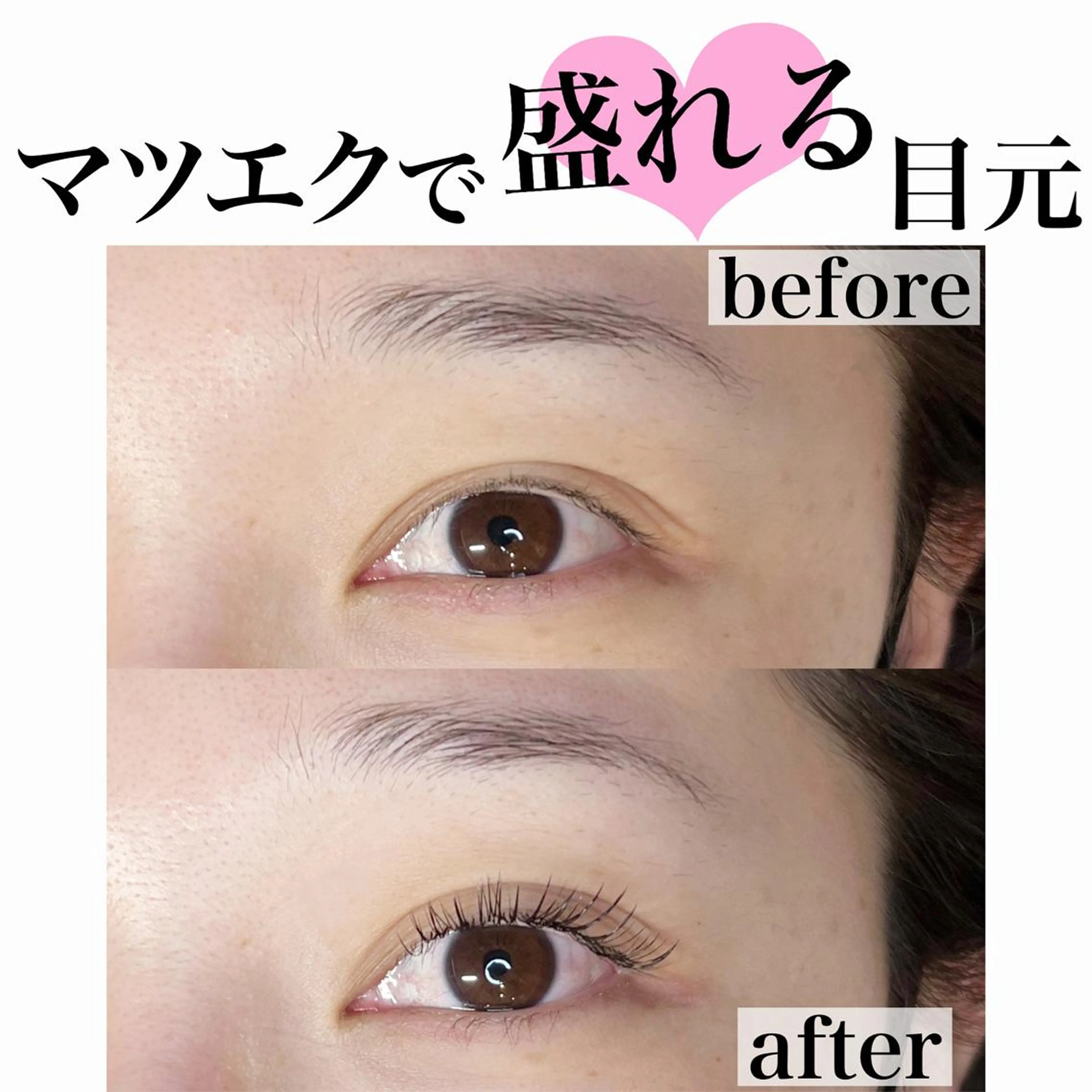 ９月限定🌱フラットラッシュ120本の写真