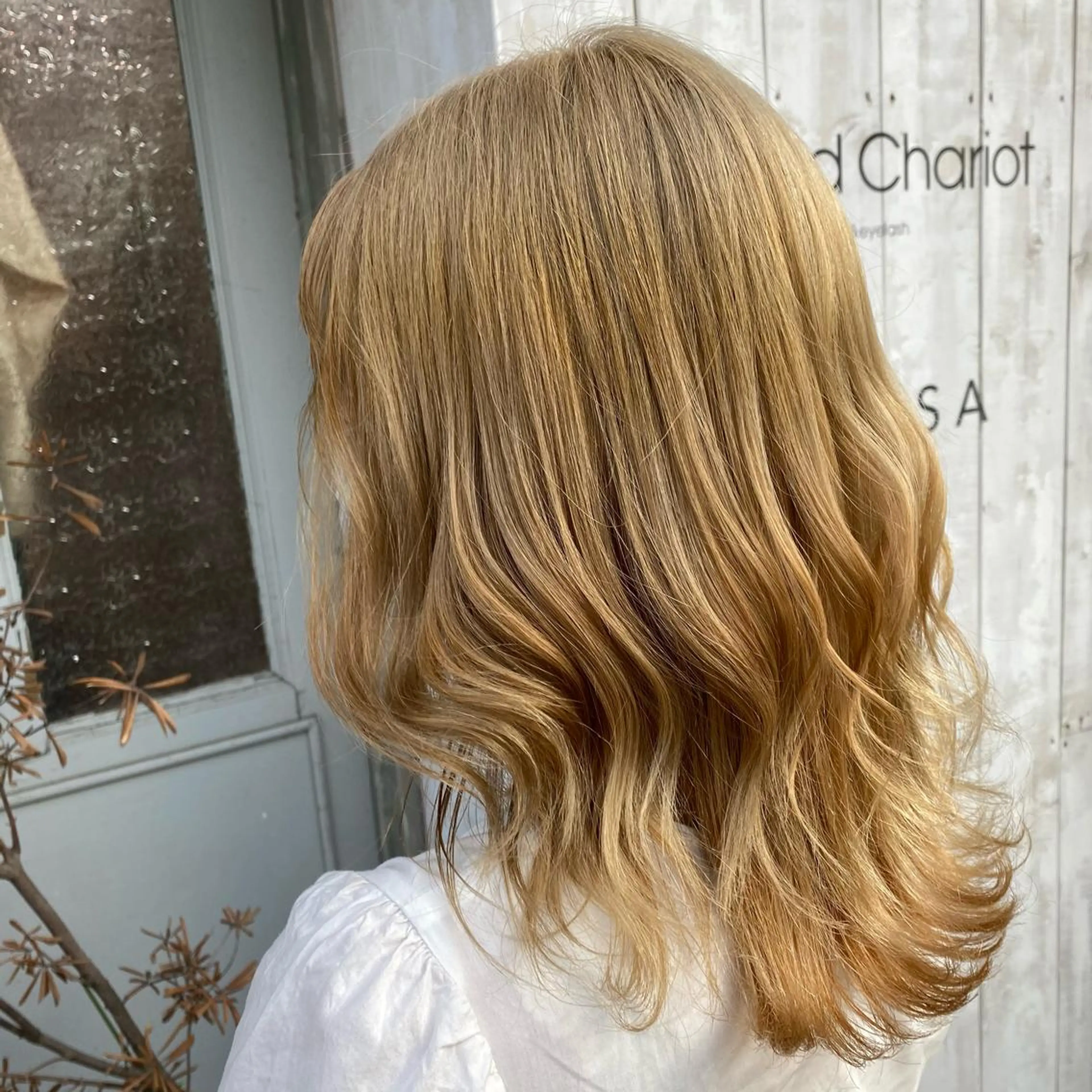 セミロング カラー Sia中野新橋 田中 優莉乃のヘアスタイル