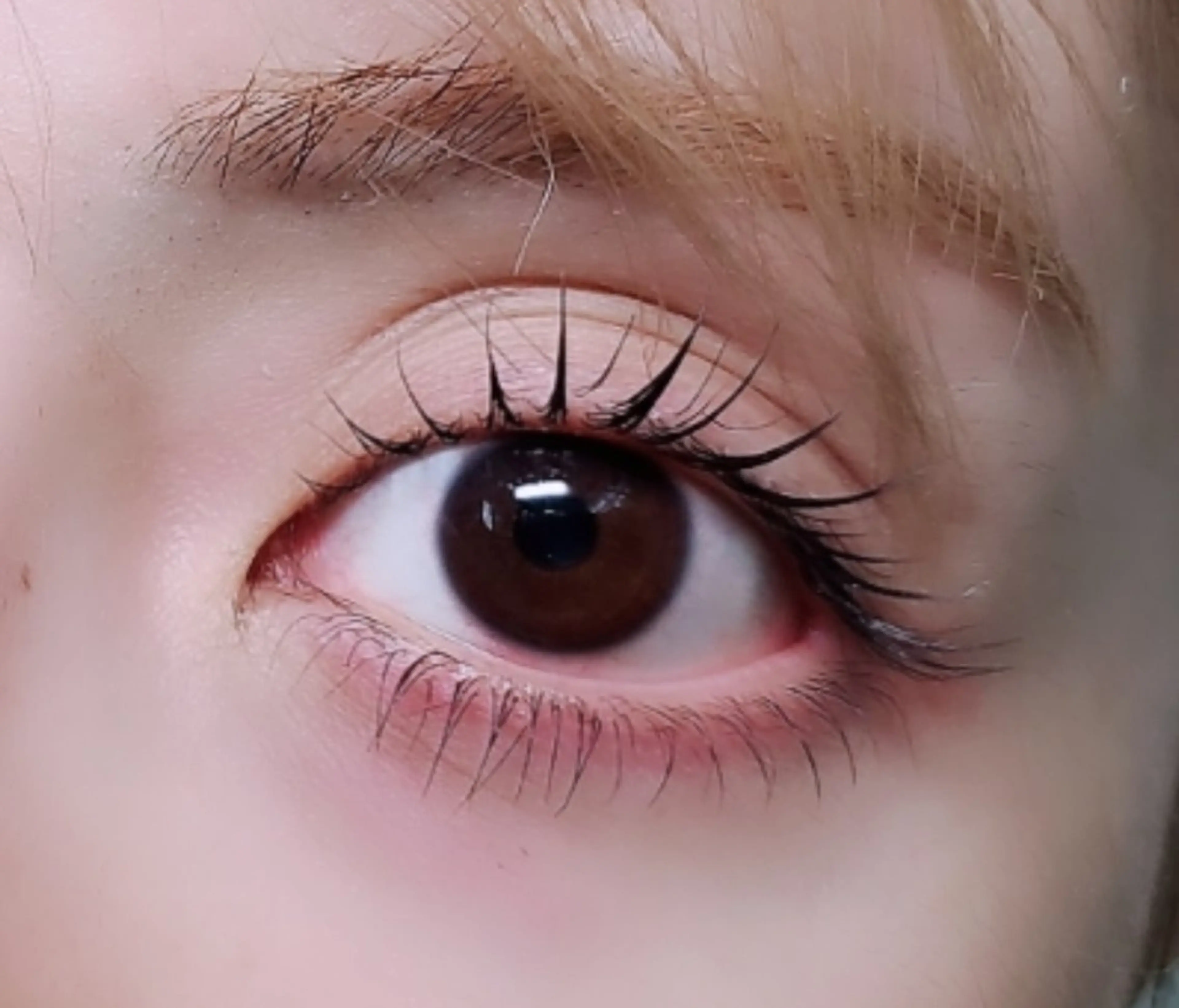 マツエク・マツパ マツパ eyelashsalon   rocolush 所属・★Hoshino★ 新宿西口 ·͜·🌟のマツエク・マツパデザイン
