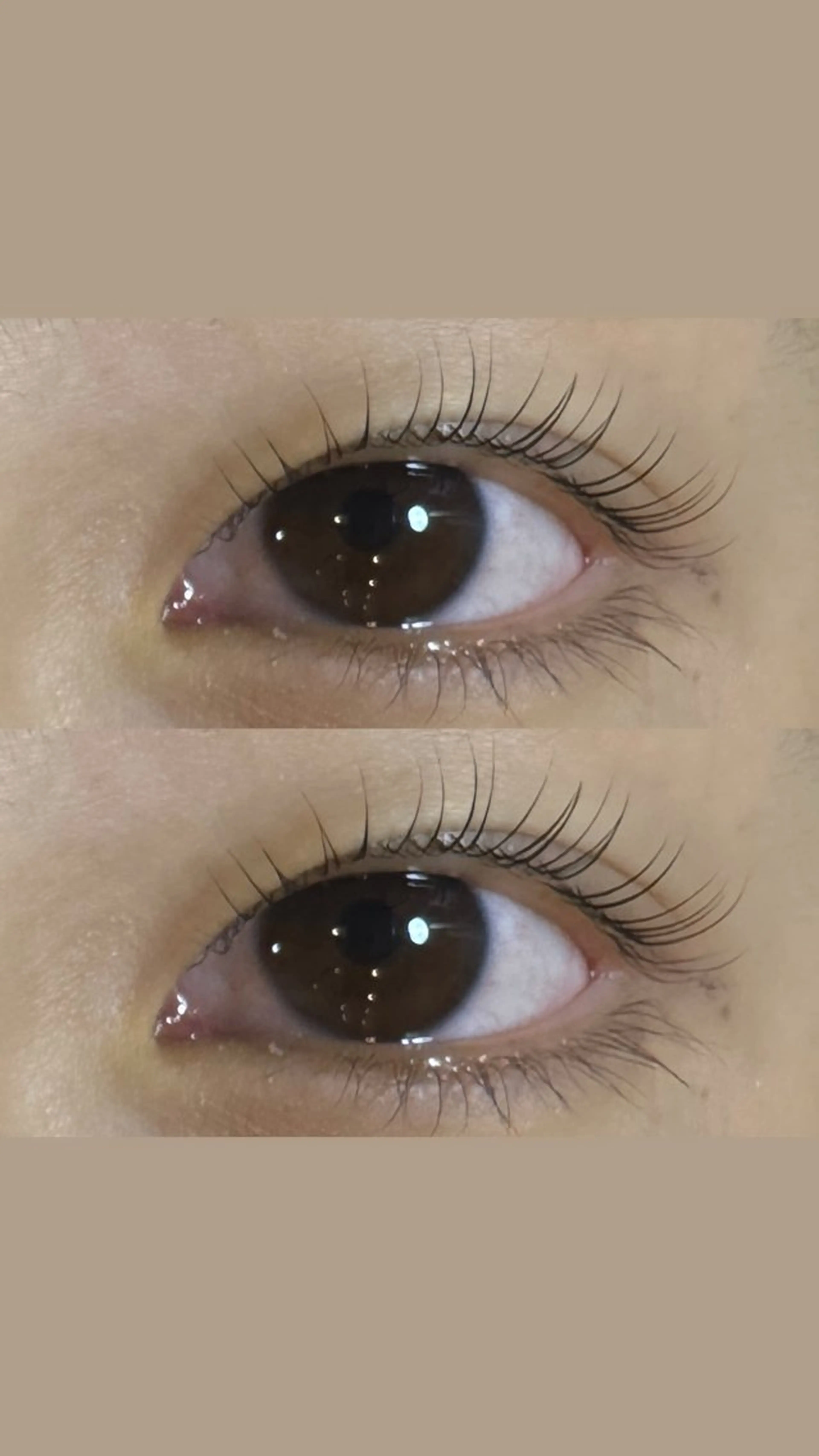 マツエク・マツパ PLUME　EYE　BEAUTY所属・PLUME 山本の眉毛・アイブロウイメージ