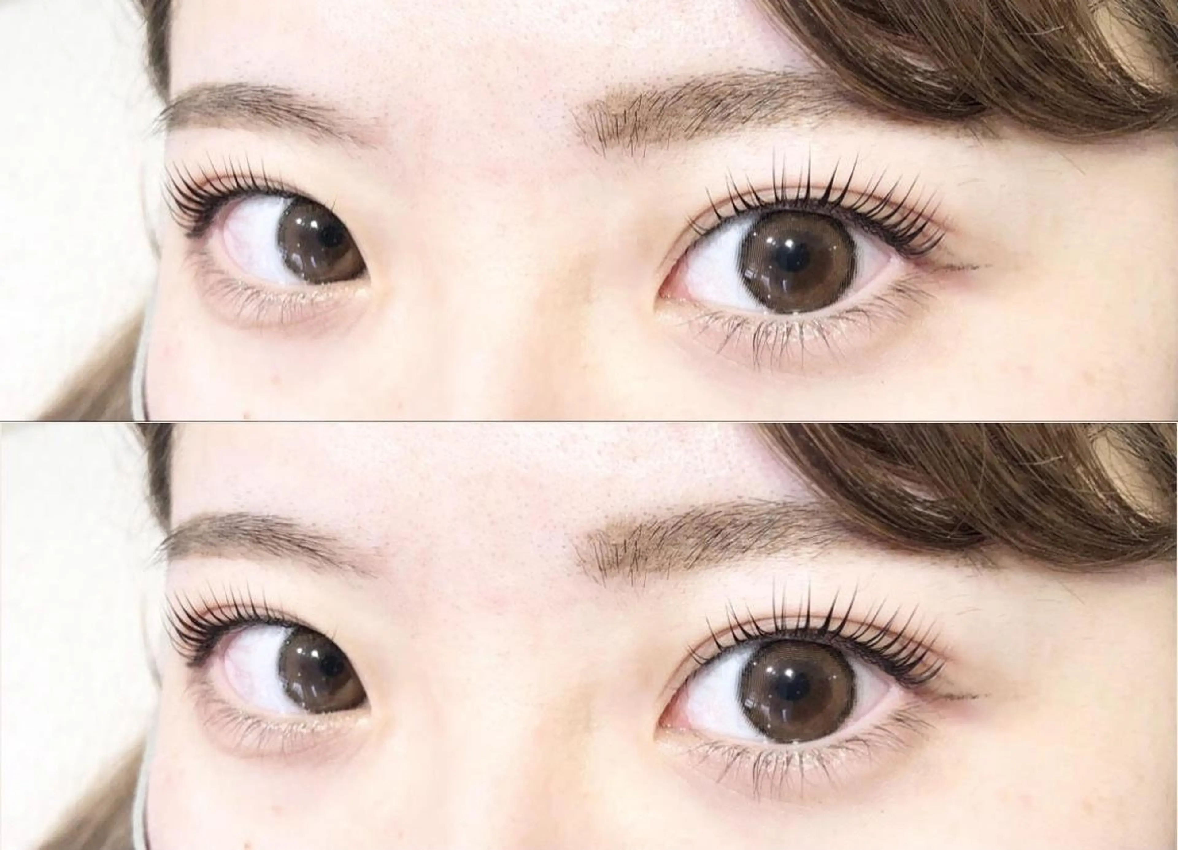 マツエク・マツパ パリジェンヌラッシュリフト Bunny eyes NEWOTANI博多のマツエク・マツパデザイン