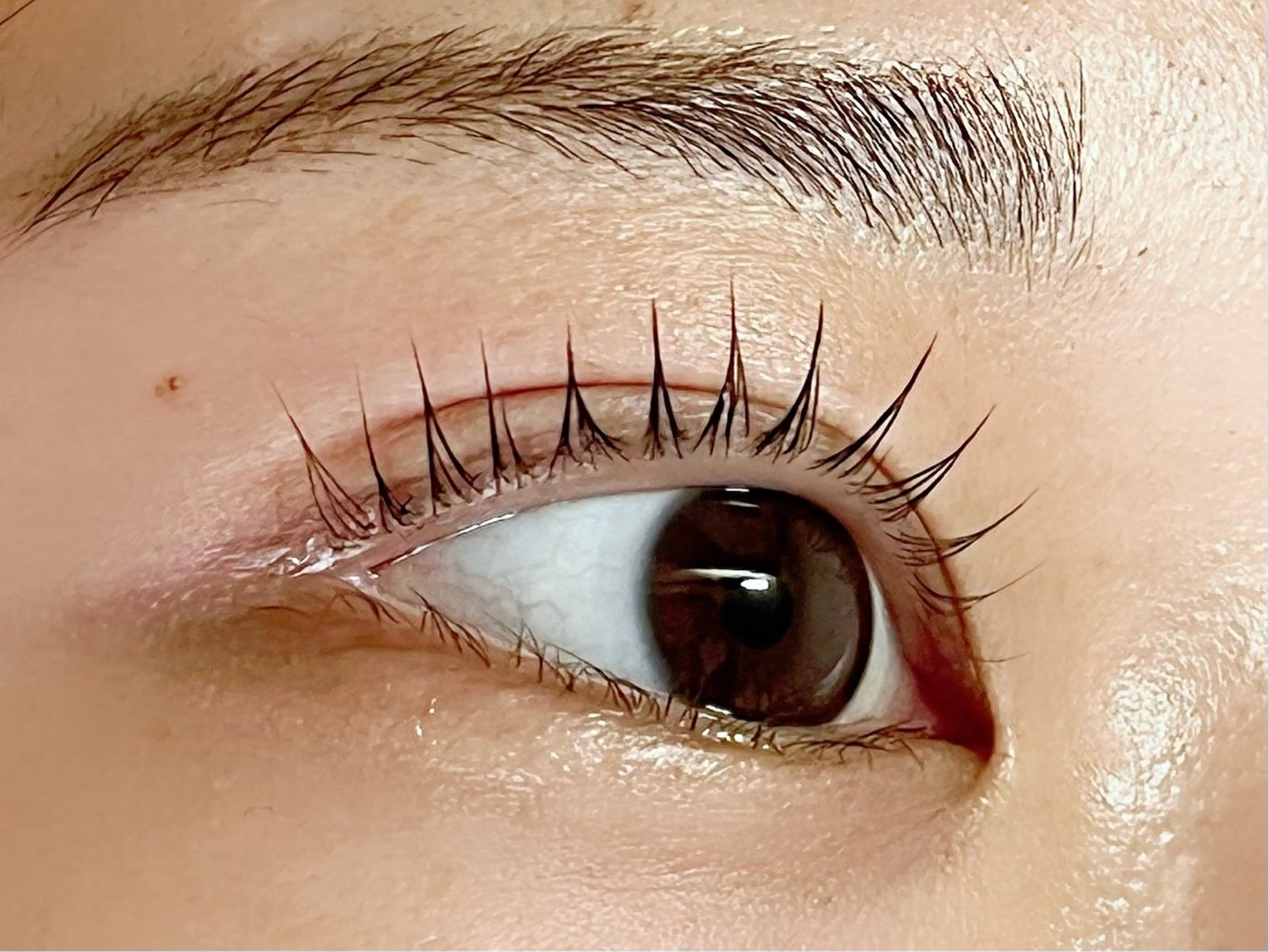 マツエク・マツパ マツパ Rinto/ makoの眉毛・アイブロウイメージ