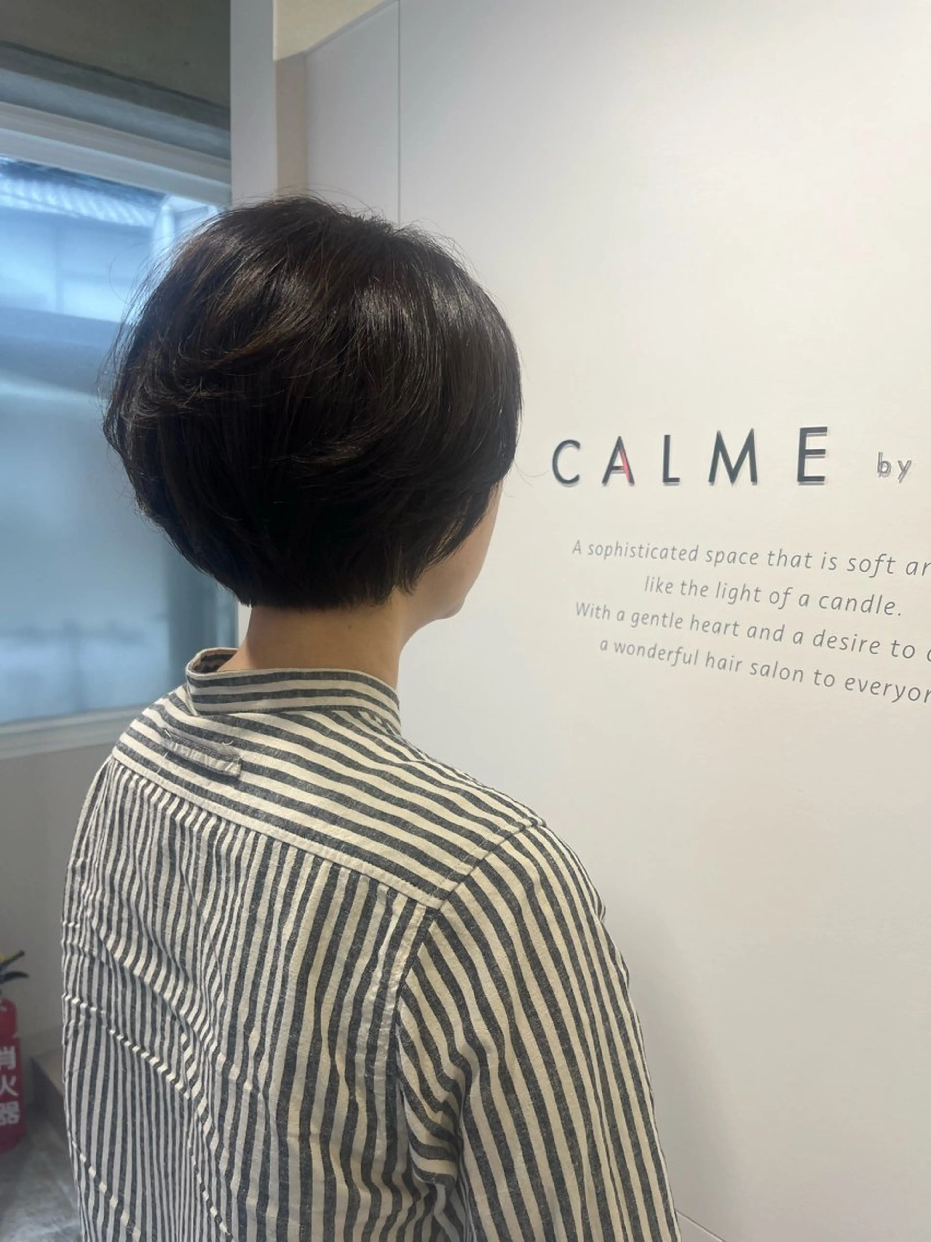ショート ショートボブ ボブ 似合わせカット ショートヘア カット ハラちゃんカット✂︎ ハイライトカラー🩵のヘアスタイル
