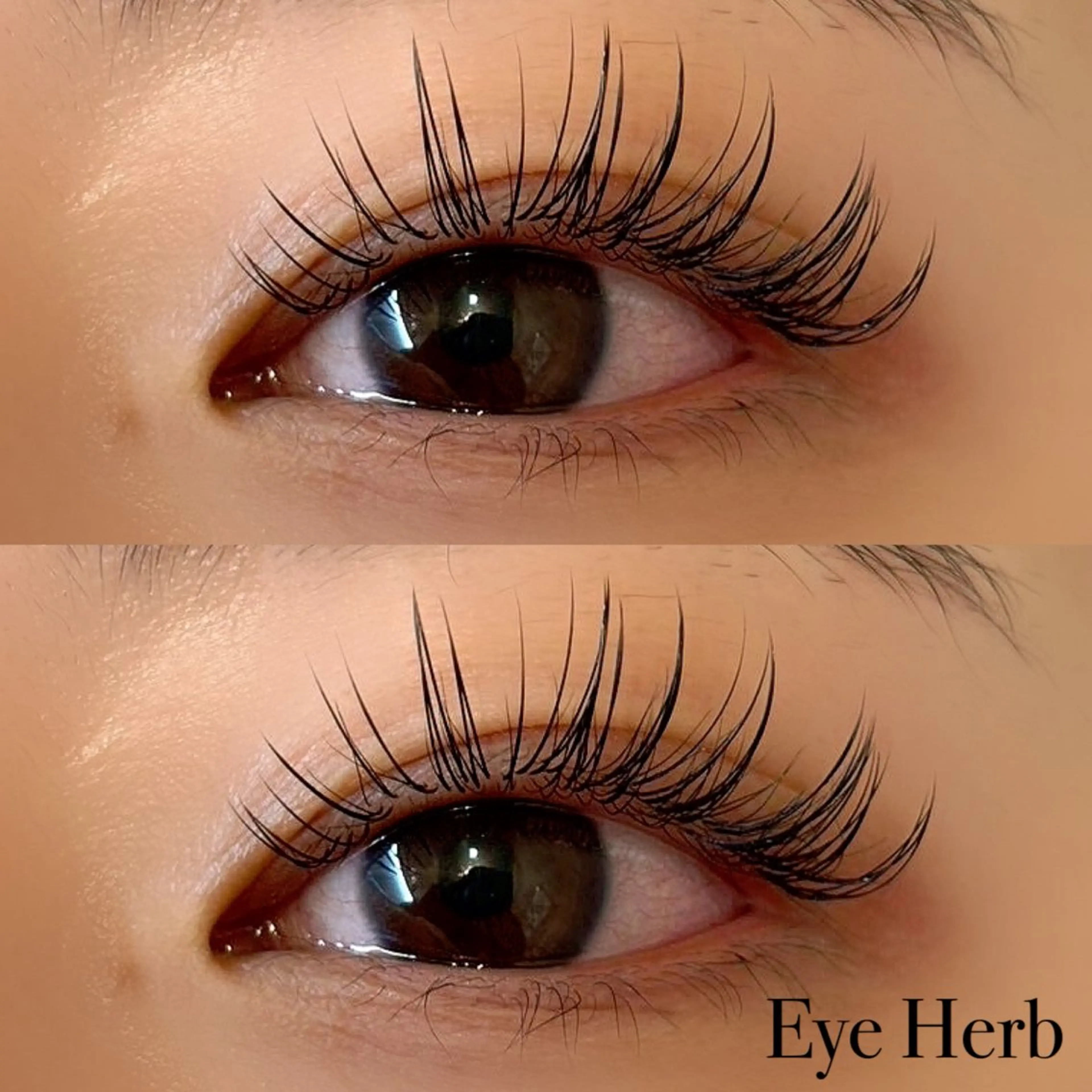 マツエク・マツパ マツエク EyeHerb ♡rinのマツエク・マツパデザイン
