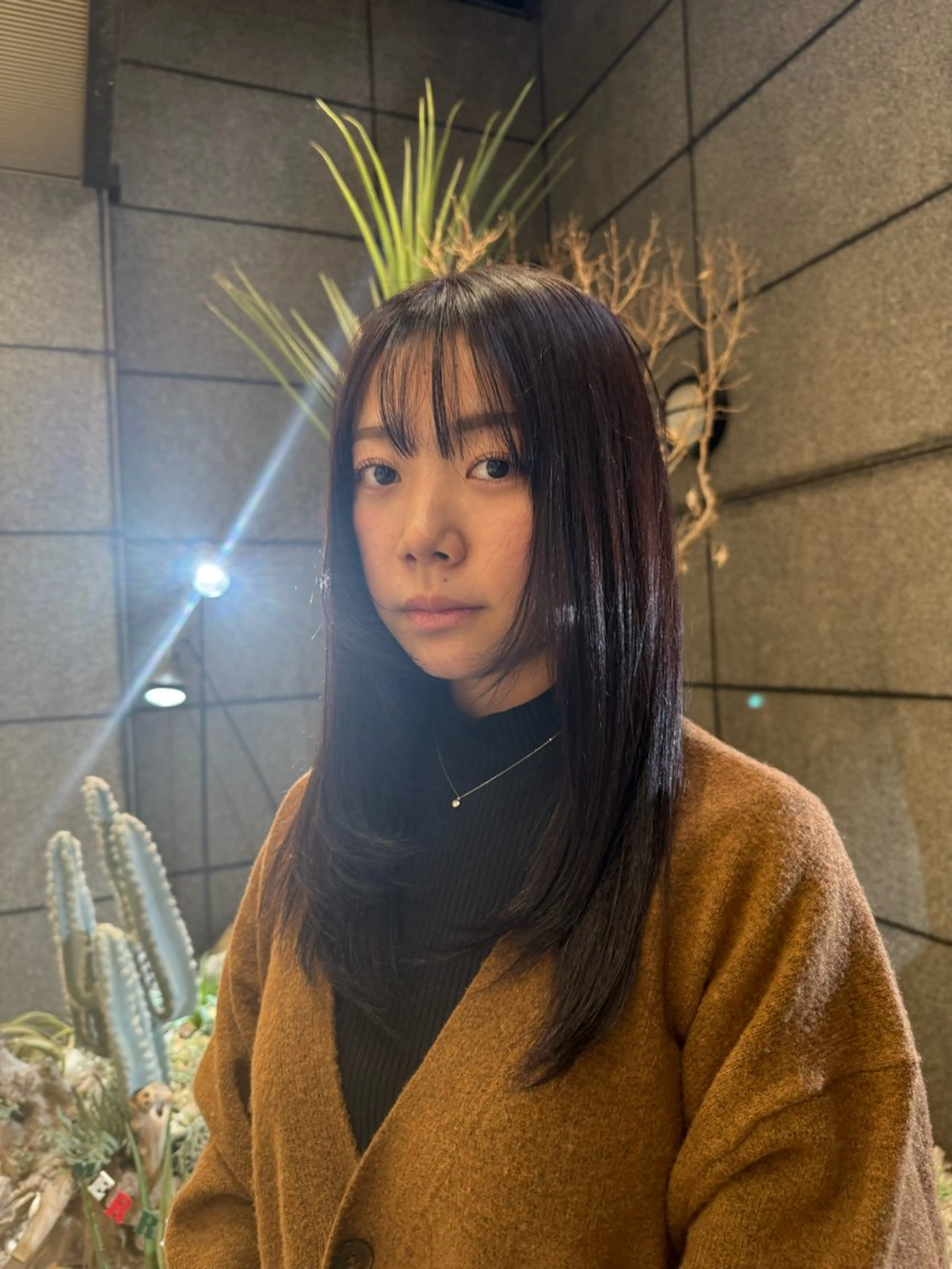 カラー ヘアカラー トリートメント 似合わせNo.1/ sᴀᴋᴜʀᴀ🌸のヘアスタイル