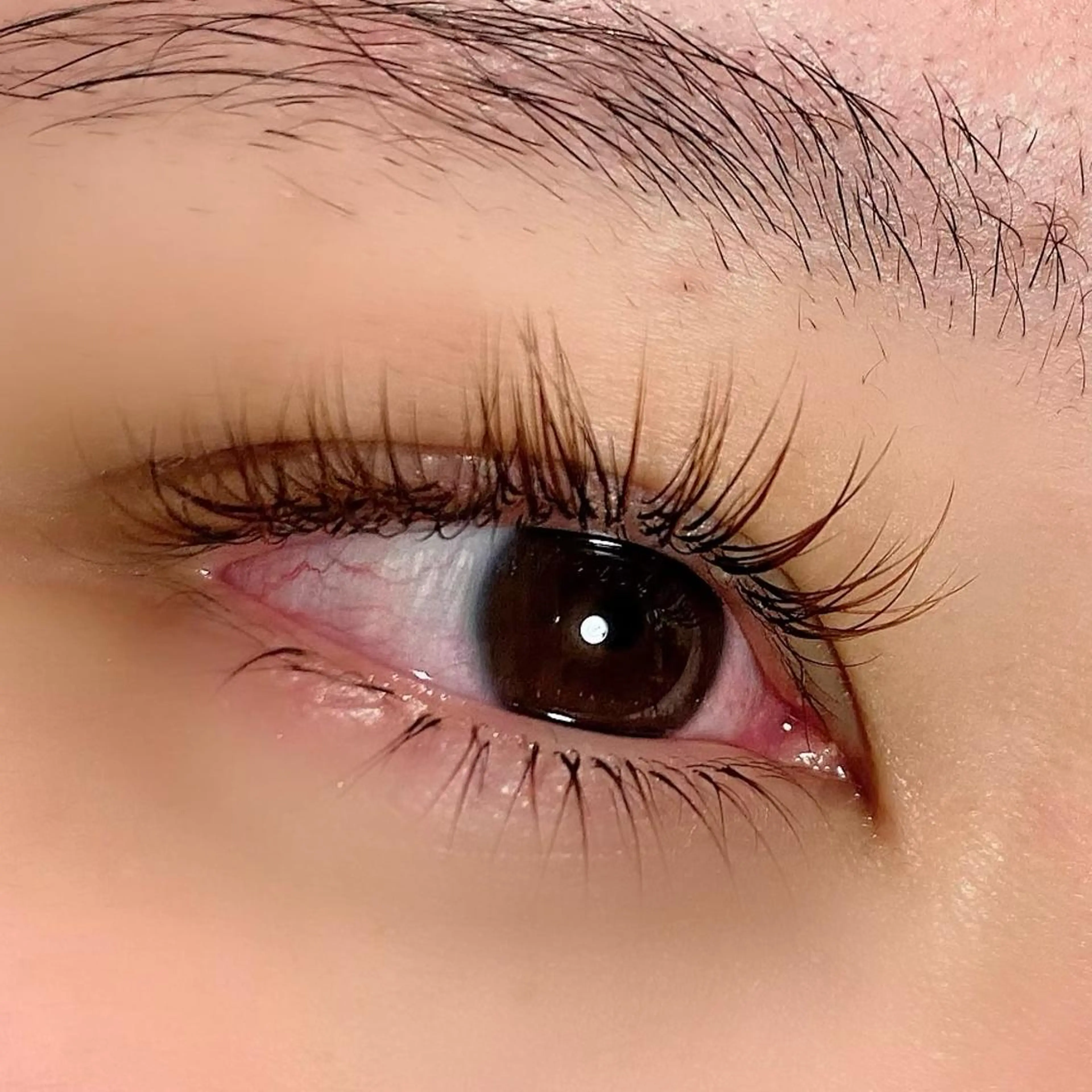 マツエク・マツパ Ray eye 安田のマツエク・マツパデザイン