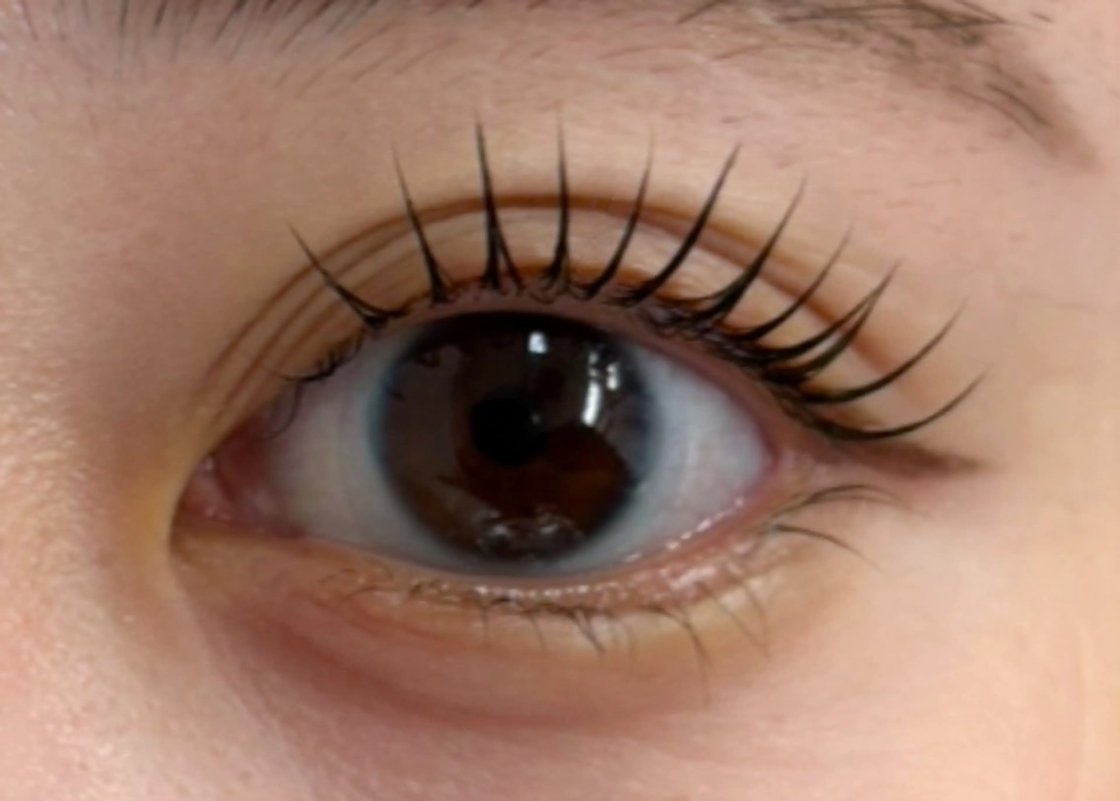 【12月限定】¥1000オフ✨️🤍トリートメント・コーティング付き🤍まつ毛パーマ上のみ⏱60分の写真